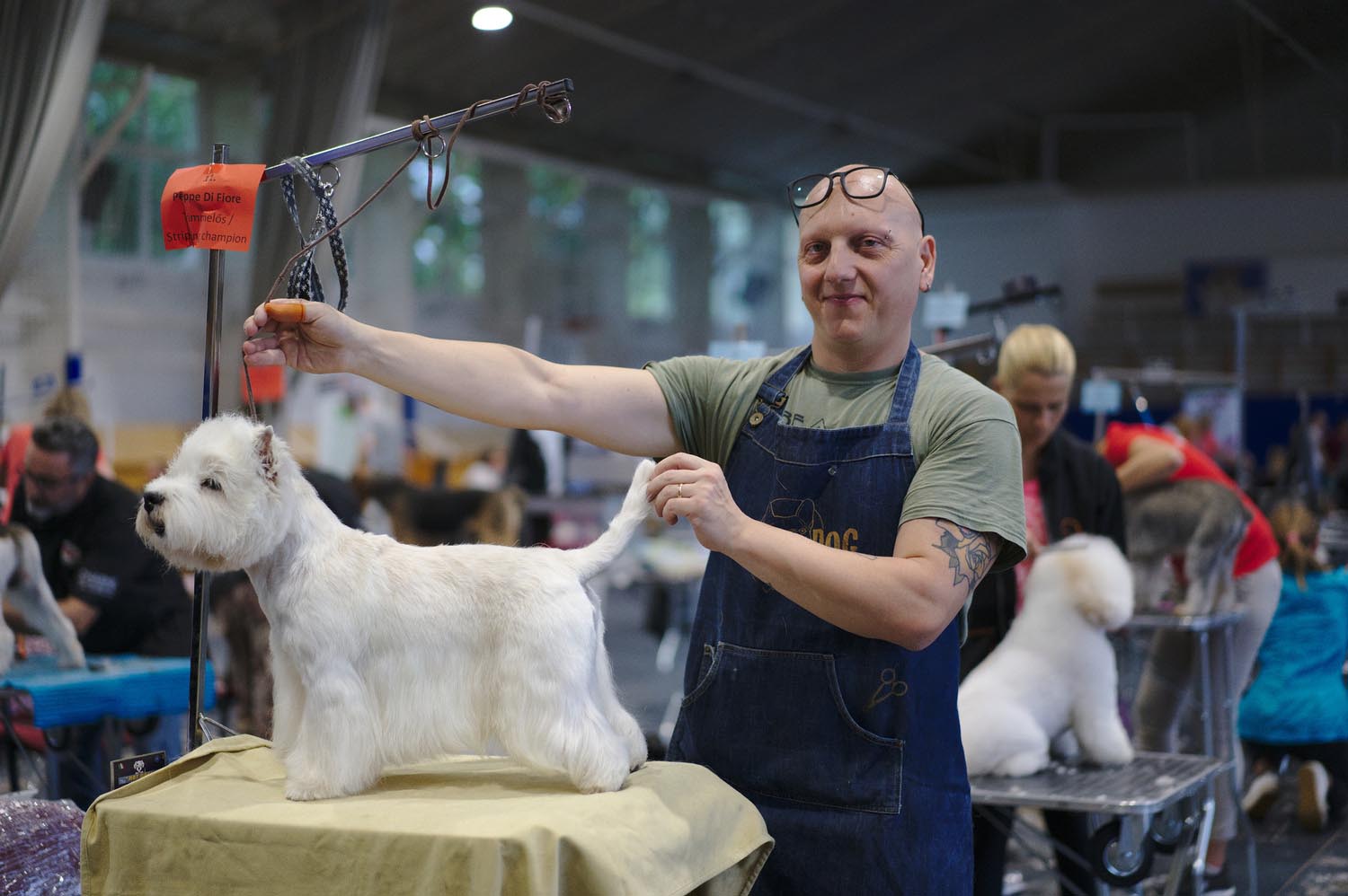 Király Péter fotográfus fotográfus vizsgaremek 