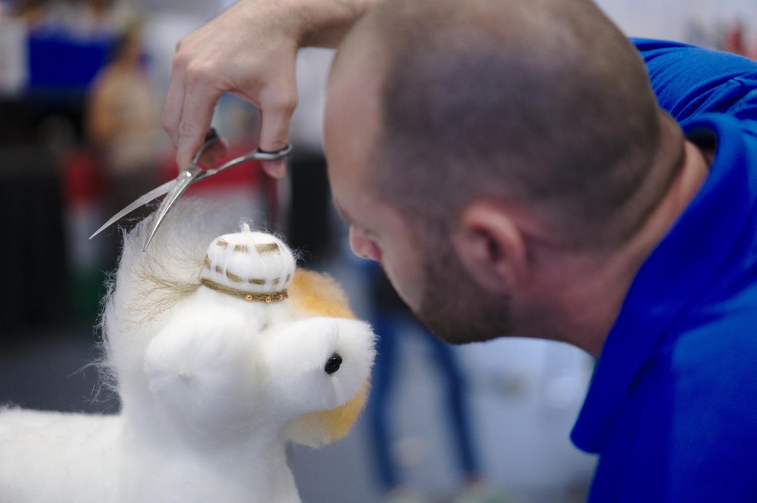 Király Péter fotográfus fotográfus vizsgaremek 