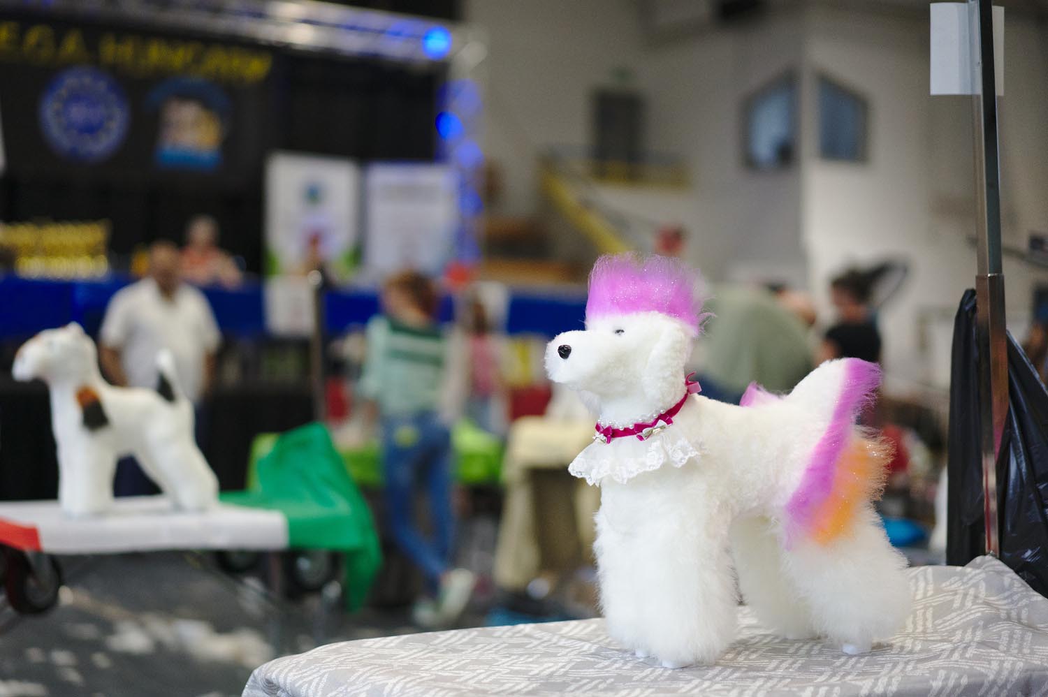 Király Péter fotográfus fotográfus vizsgaremek 