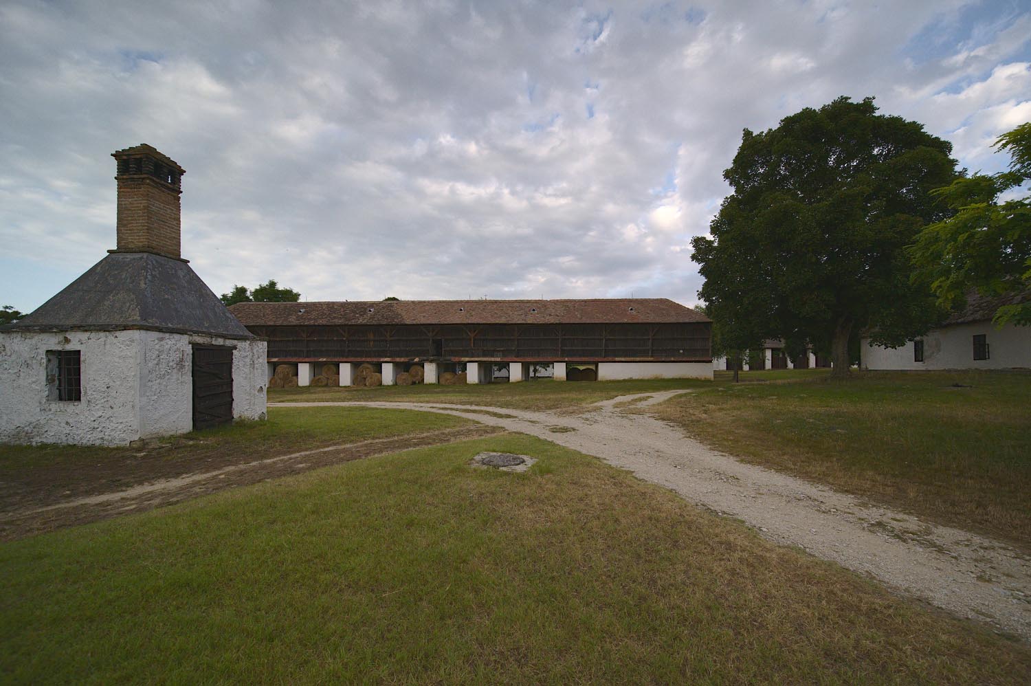 Király Péter fotográfus fotográfus vizsgaremek 