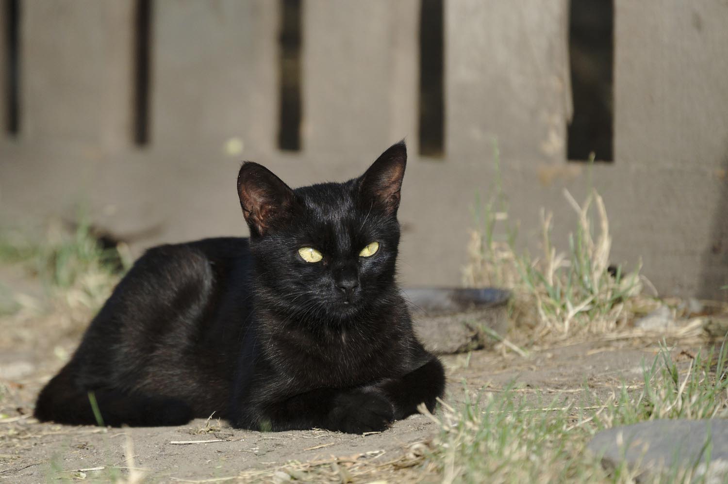 Király Péter fotográfus fotográfus vizsgaremek 