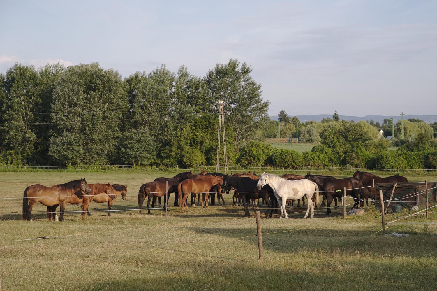 Király Péter fotográfus fotográfus vizsgaremek 