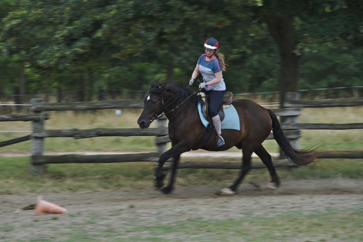 Király Péter fotográfus fotográfus vizsgaremek 