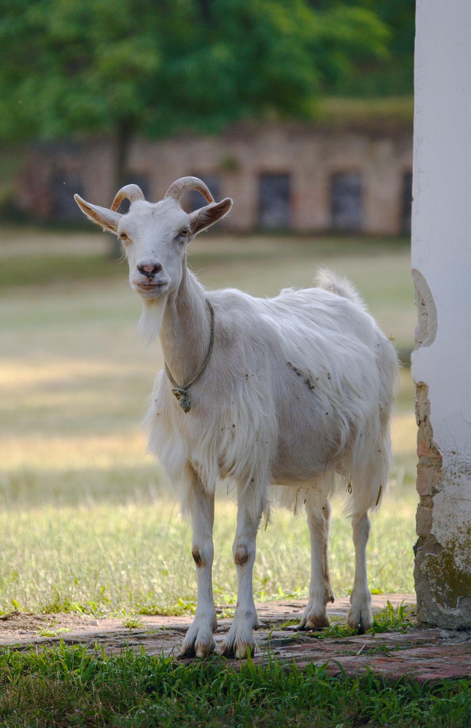 Király Péter fotográfus fotográfus vizsgaremek 