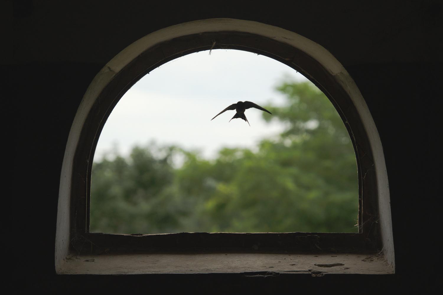 Király Péter fotográfus fotográfus vizsgaremek 