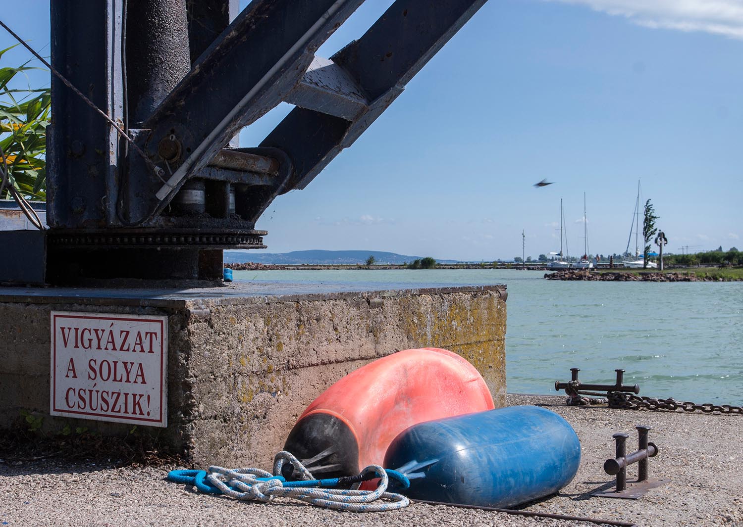Zsemlye Krisztina fotográfus fotográfus vizsgaremek 