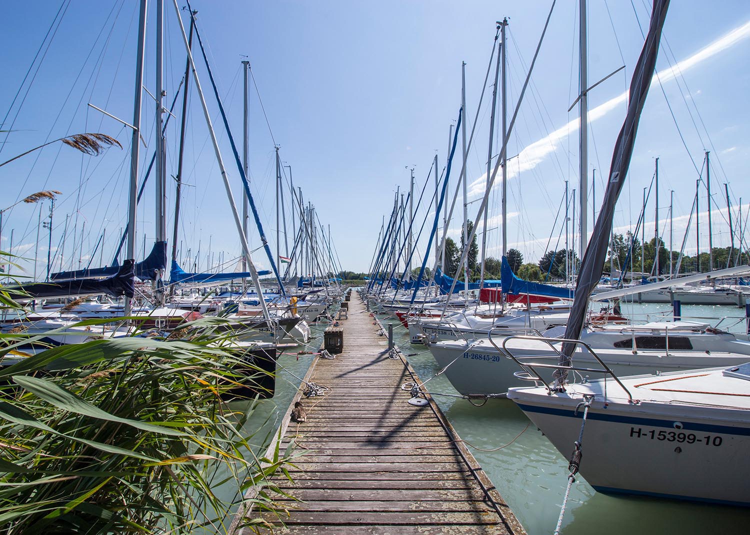 Zsemlye Krisztina fotográfus fotográfus vizsgaremek 