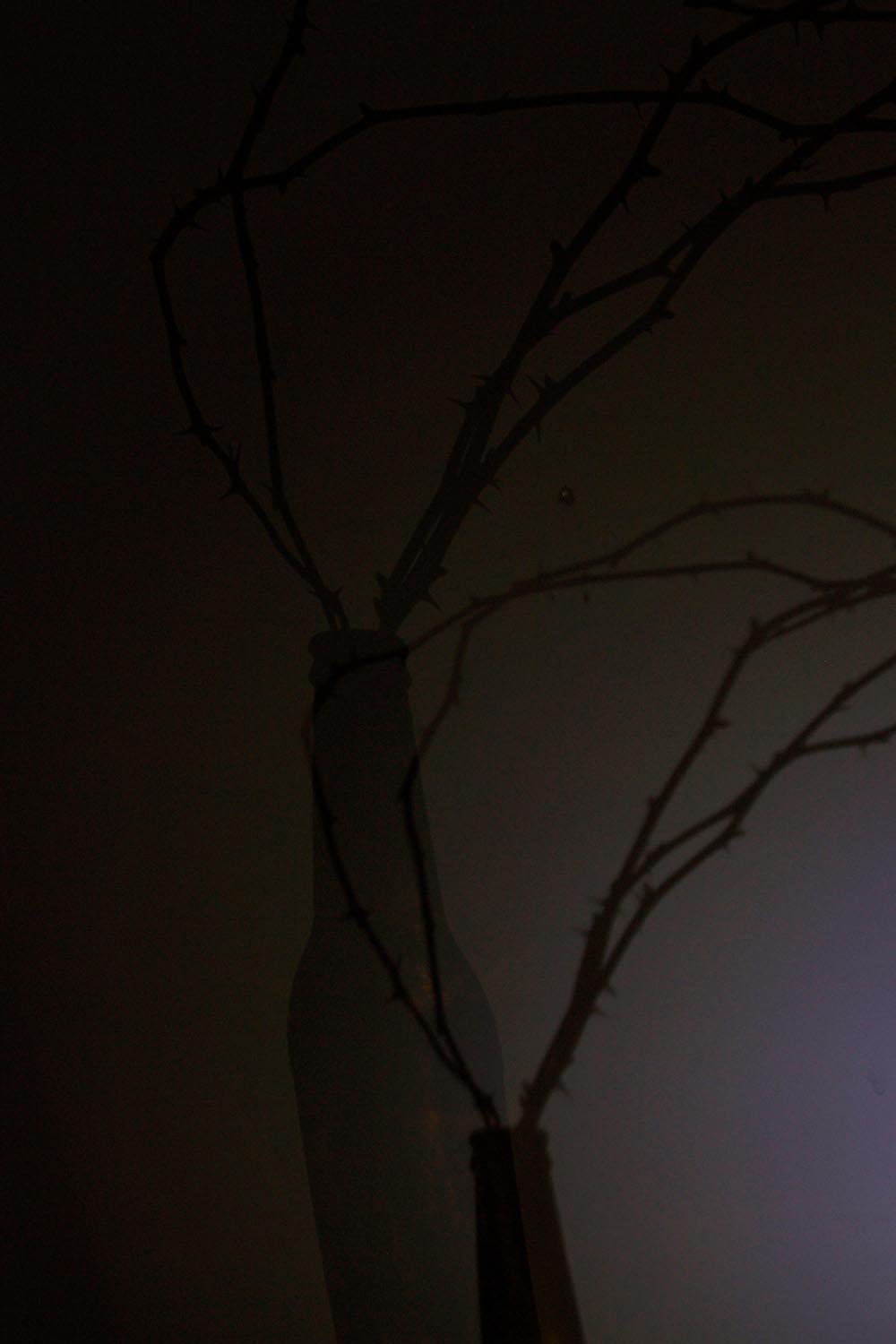 Zsemlye Krisztina fotográfus fotográfus vizsgaremek 