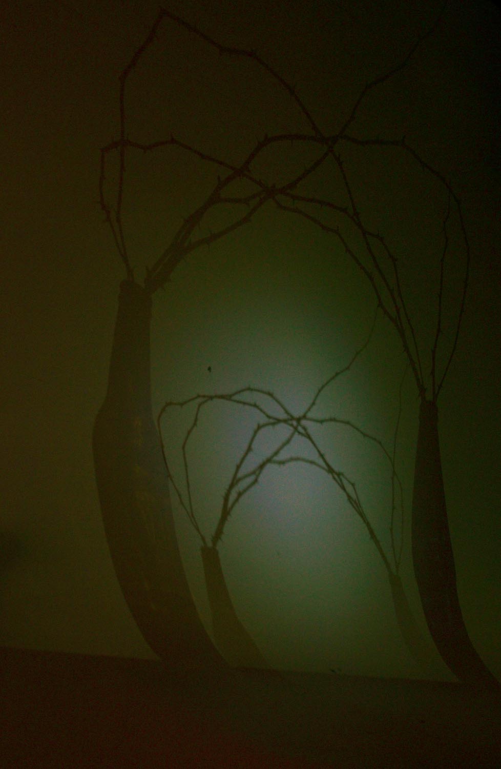 Zsemlye Krisztina fotográfus fotográfus vizsgaremek 