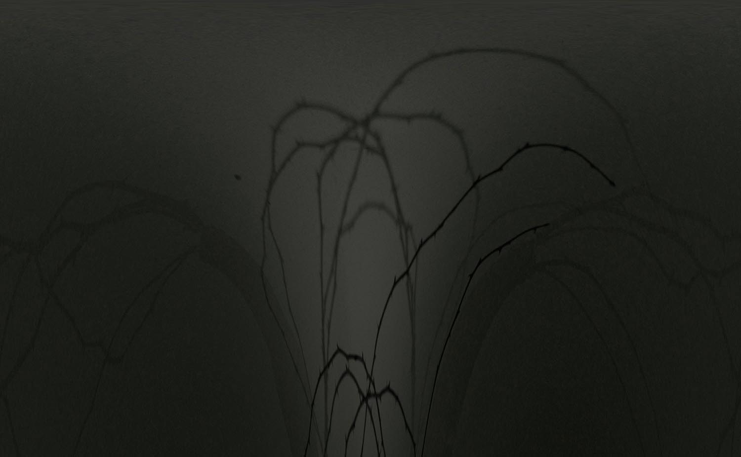 Zsemlye Krisztina fotográfus fotográfus vizsgaremek 