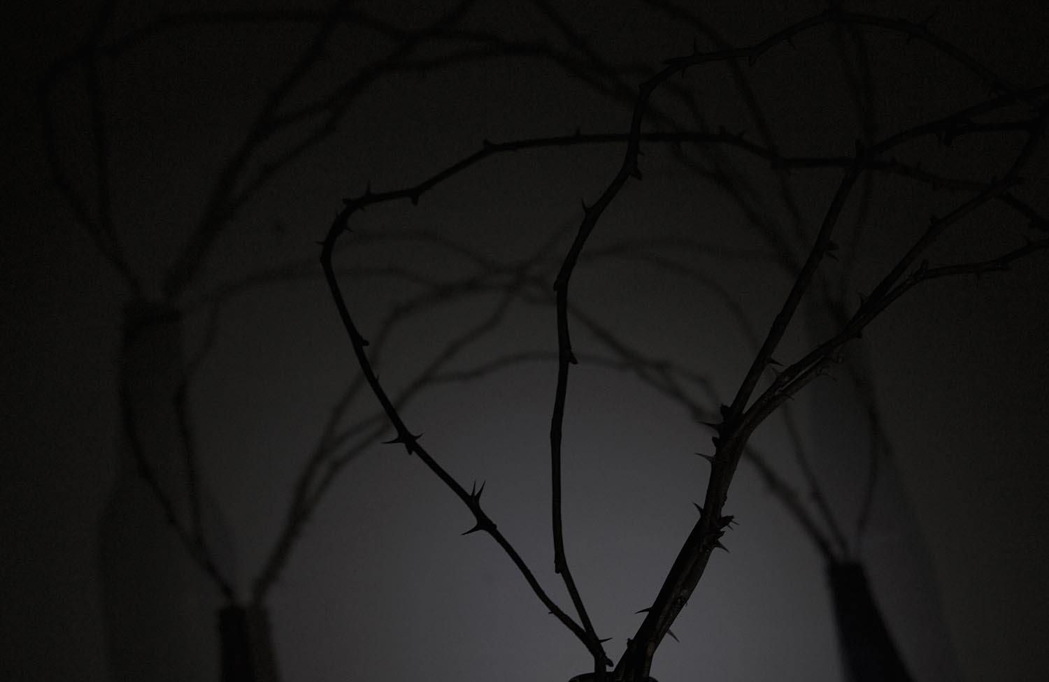 Zsemlye Krisztina fotográfus fotográfus vizsgaremek 