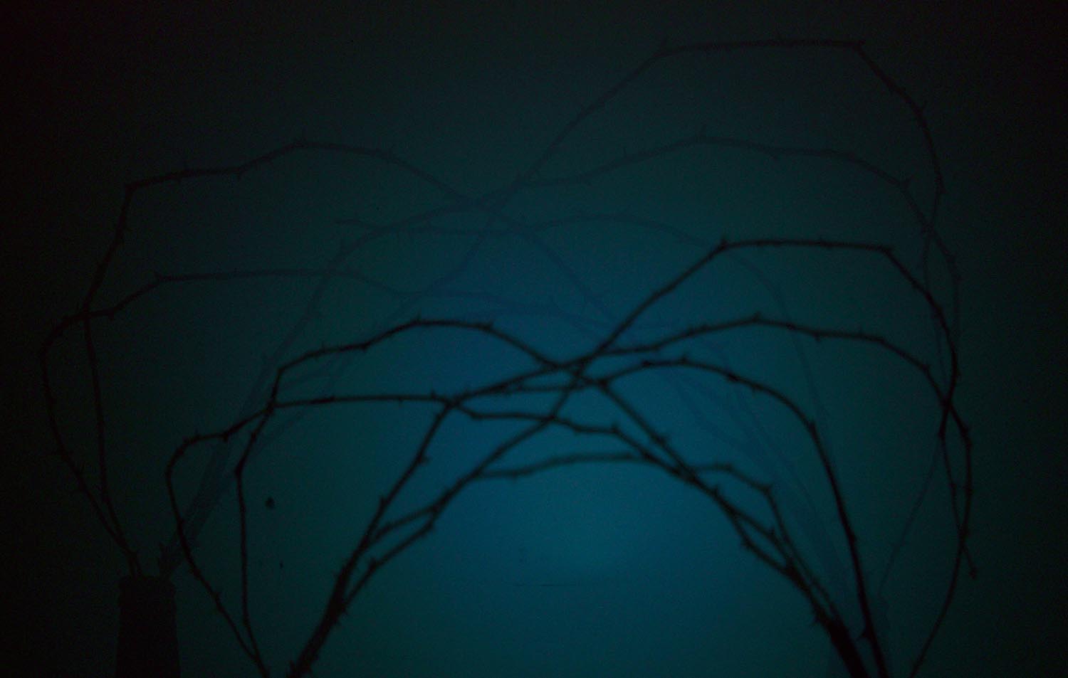 Zsemlye Krisztina fotográfus fotográfus vizsgaremek 