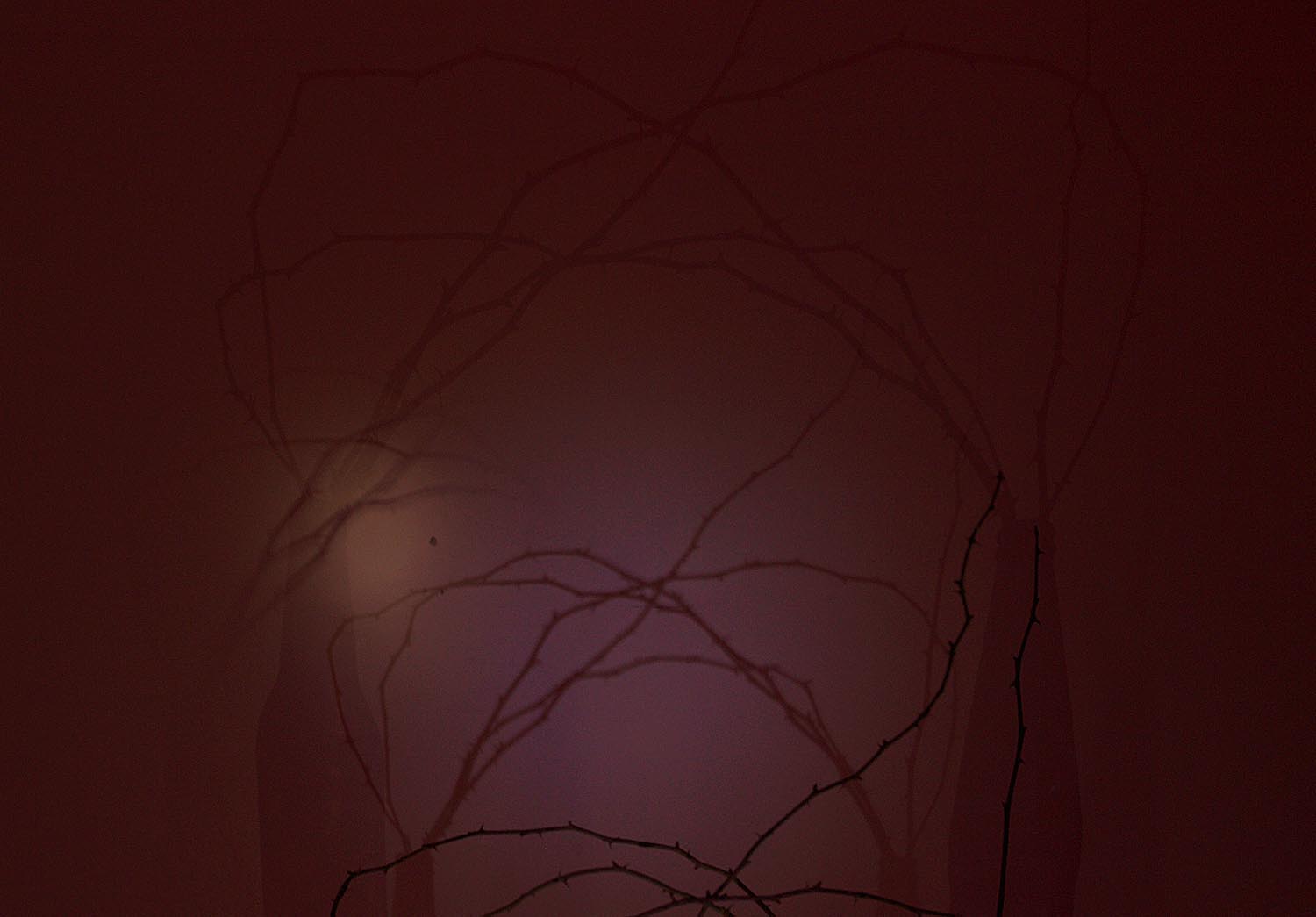 Zsemlye Krisztina fotográfus fotográfus vizsgaremek 