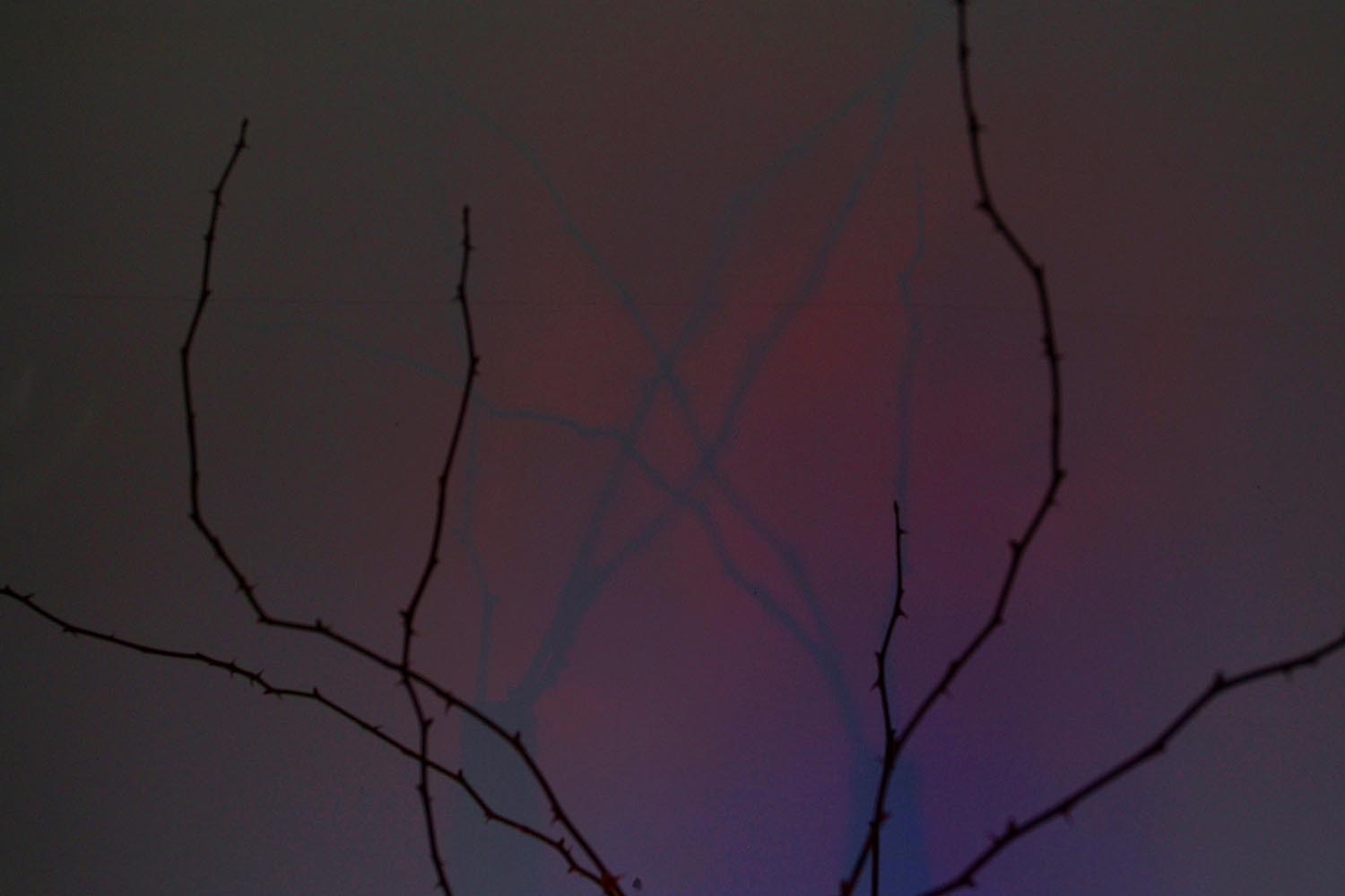 Zsemlye Krisztina fotográfus fotográfus vizsgaremek 