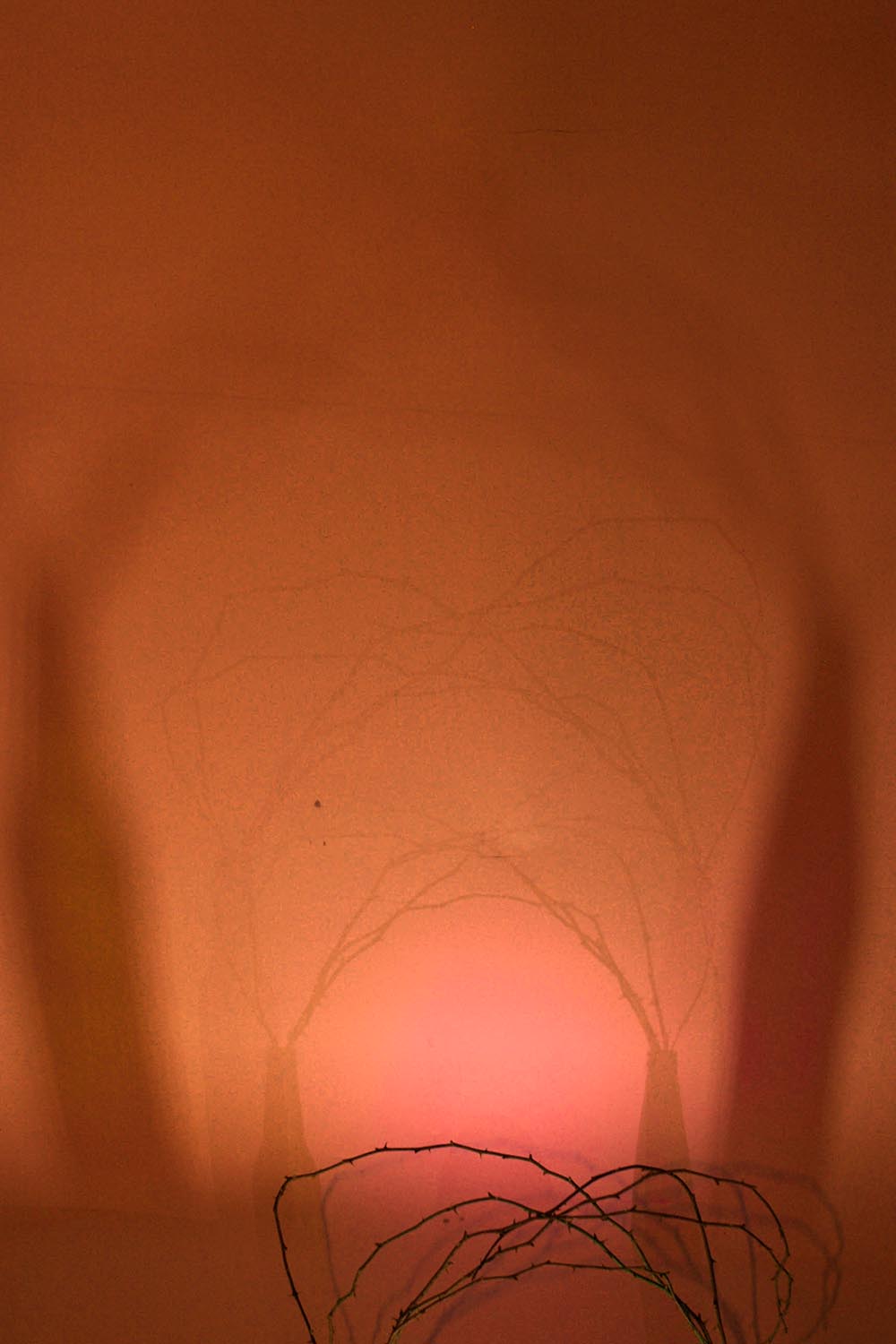 Zsemlye Krisztina fotográfus fotográfus vizsgaremek 