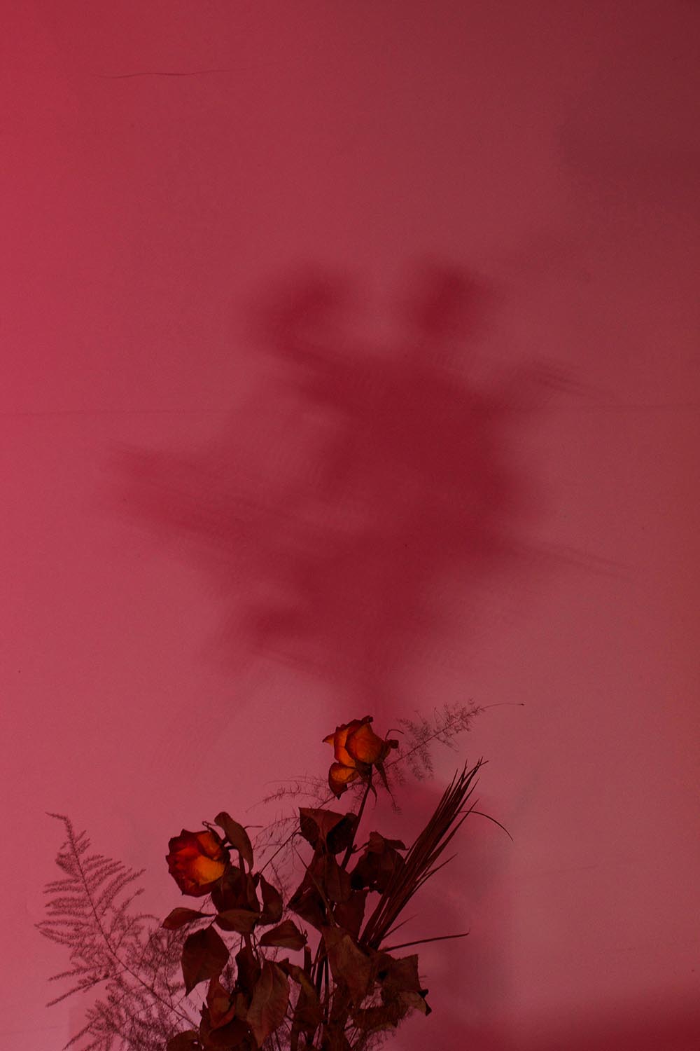 Zsemlye Krisztina fotográfus fotográfus vizsgaremek 