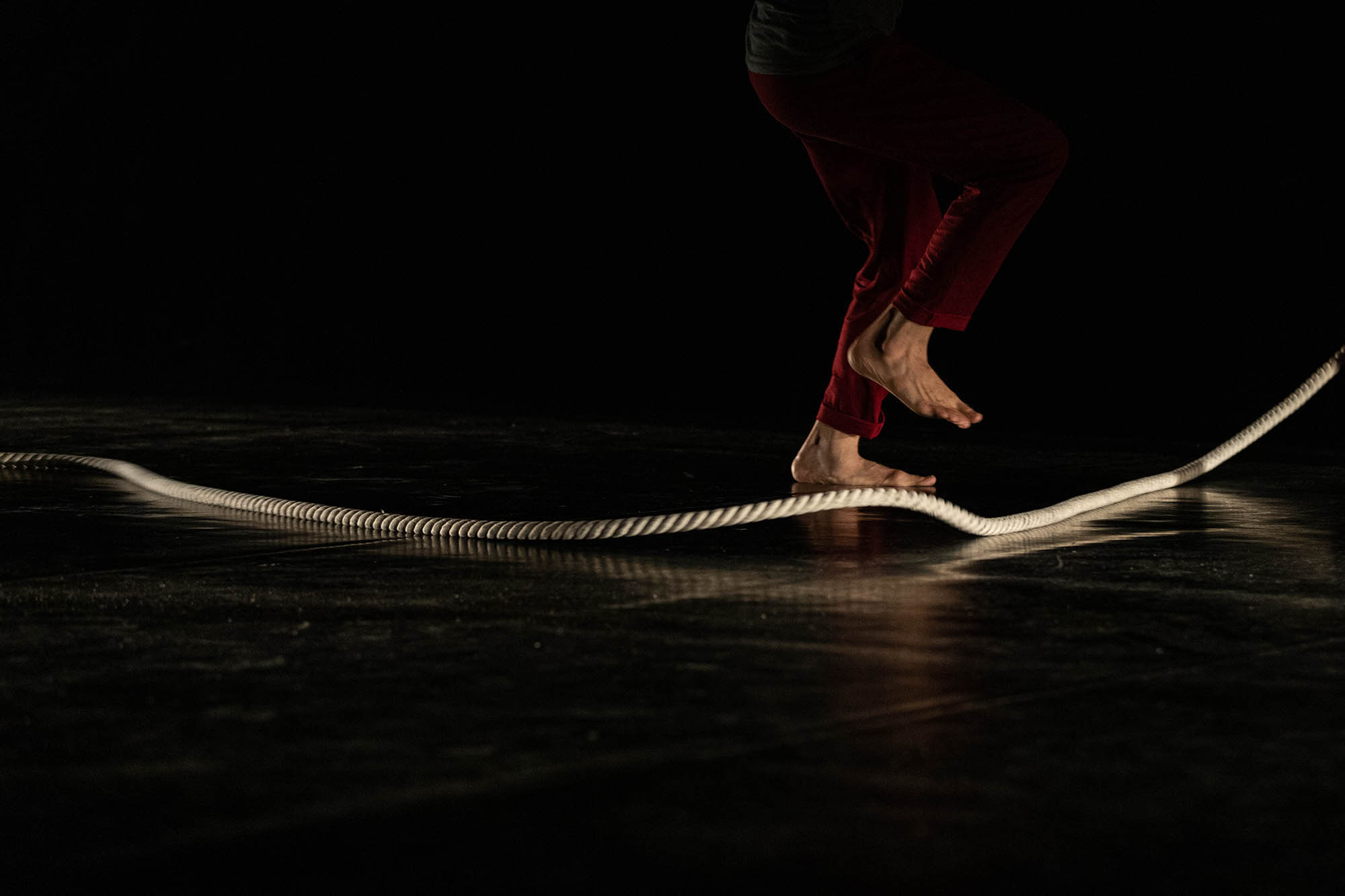 Belle Bernadett fotográfus fotográfus vizsgaremek 