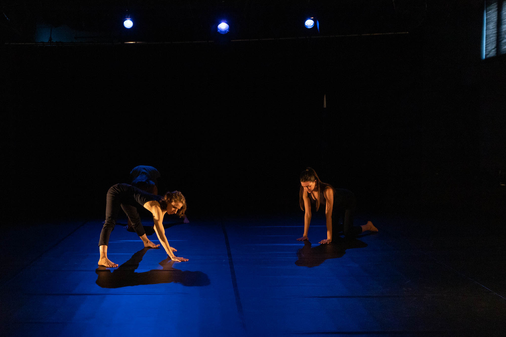 Belle Bernadett fotográfus fotográfus vizsgaremek 