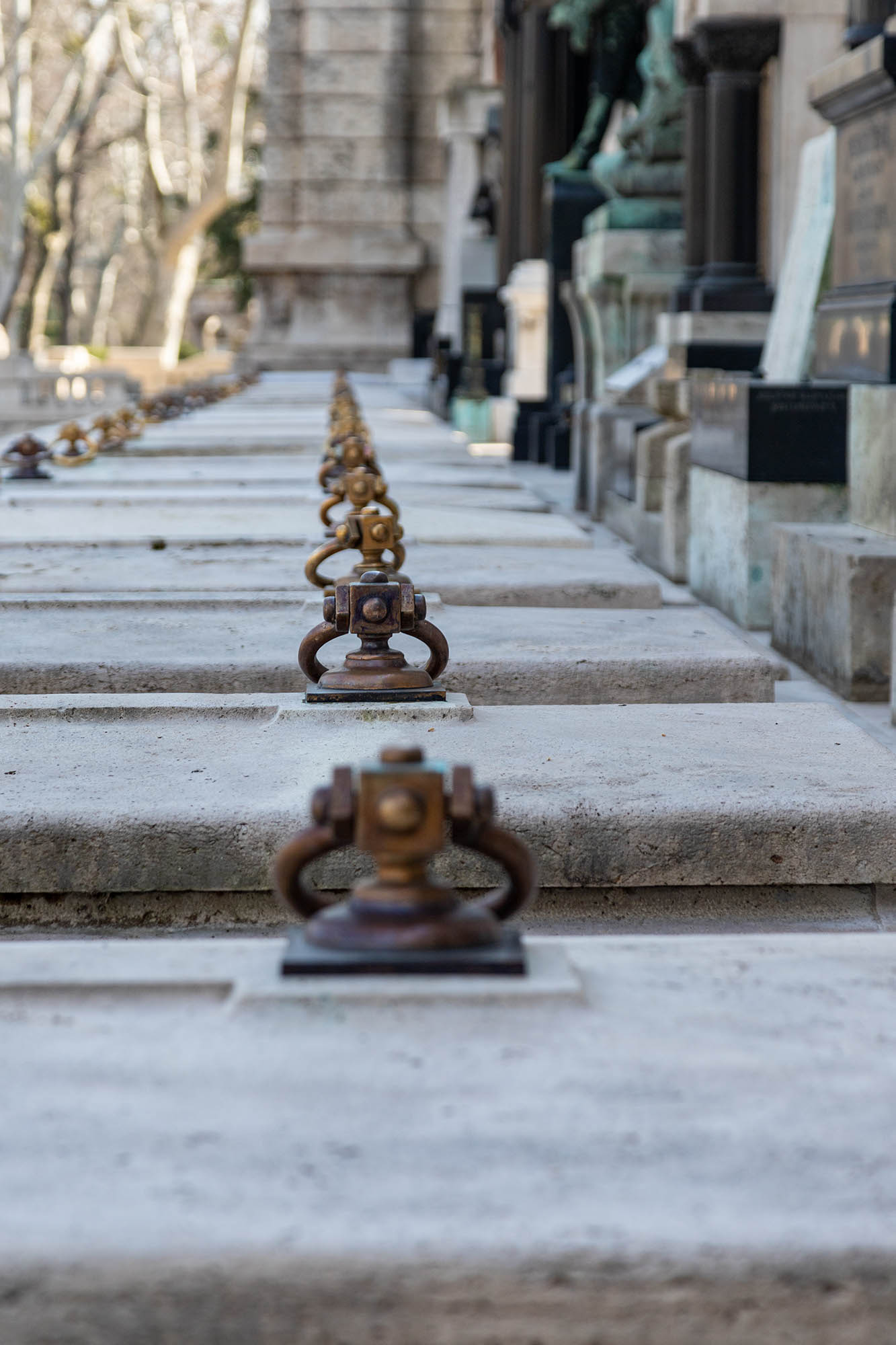 Belle Bernadett fotográfus fotográfus vizsgaremek 