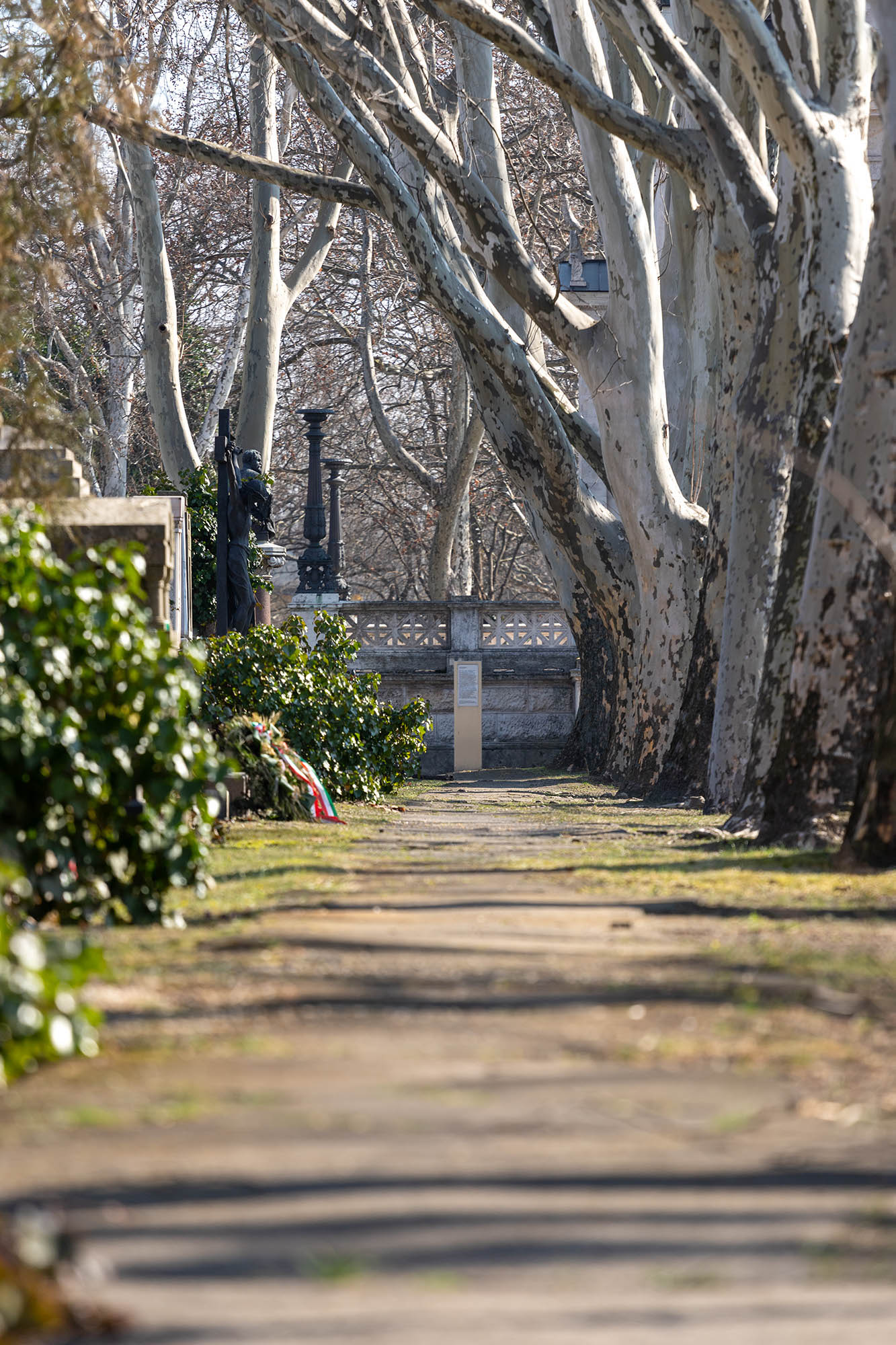 Belle Bernadett fotográfus fotográfus vizsgaremek 