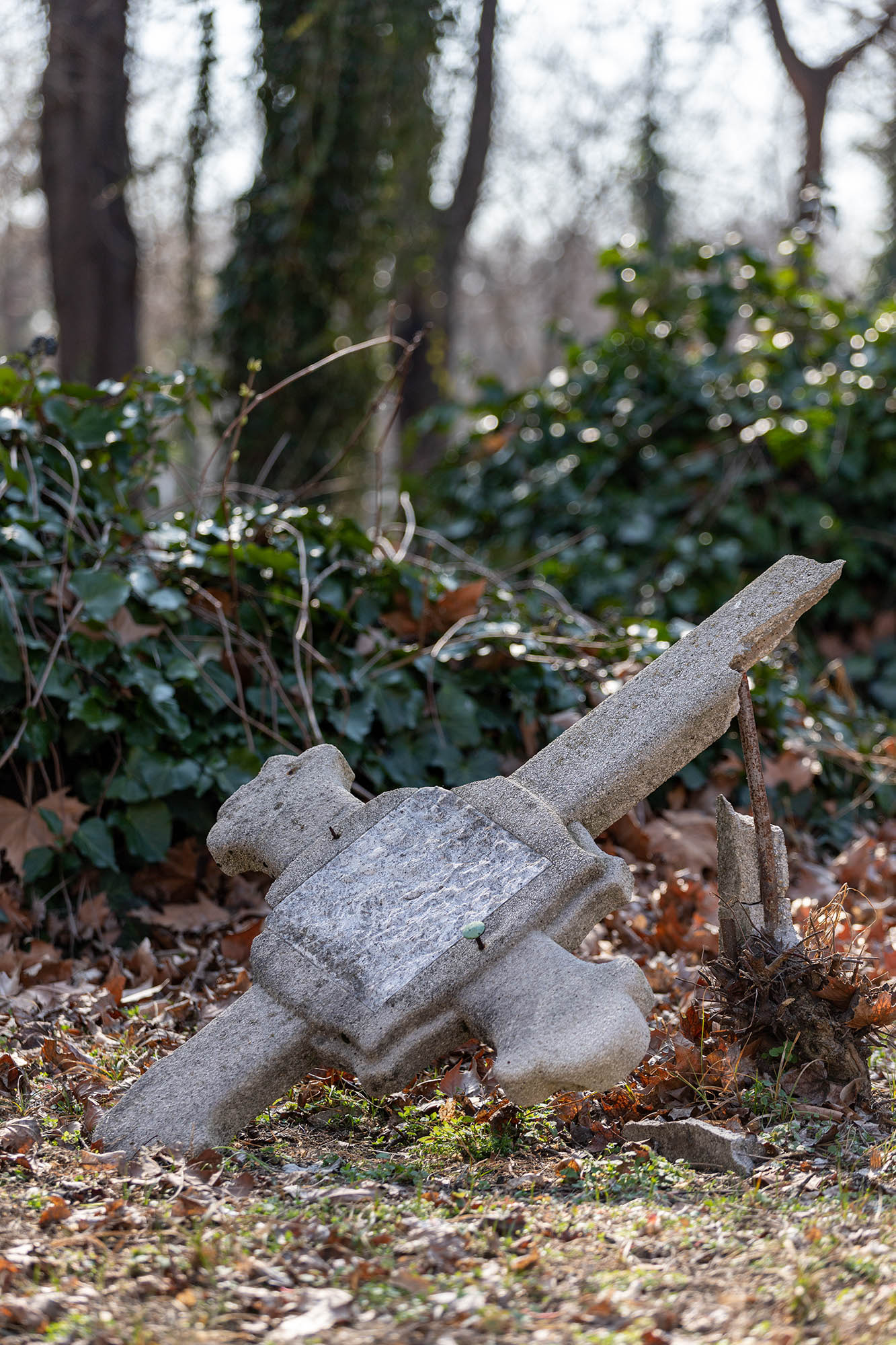 Belle Bernadett fotográfus fotográfus vizsgaremek 