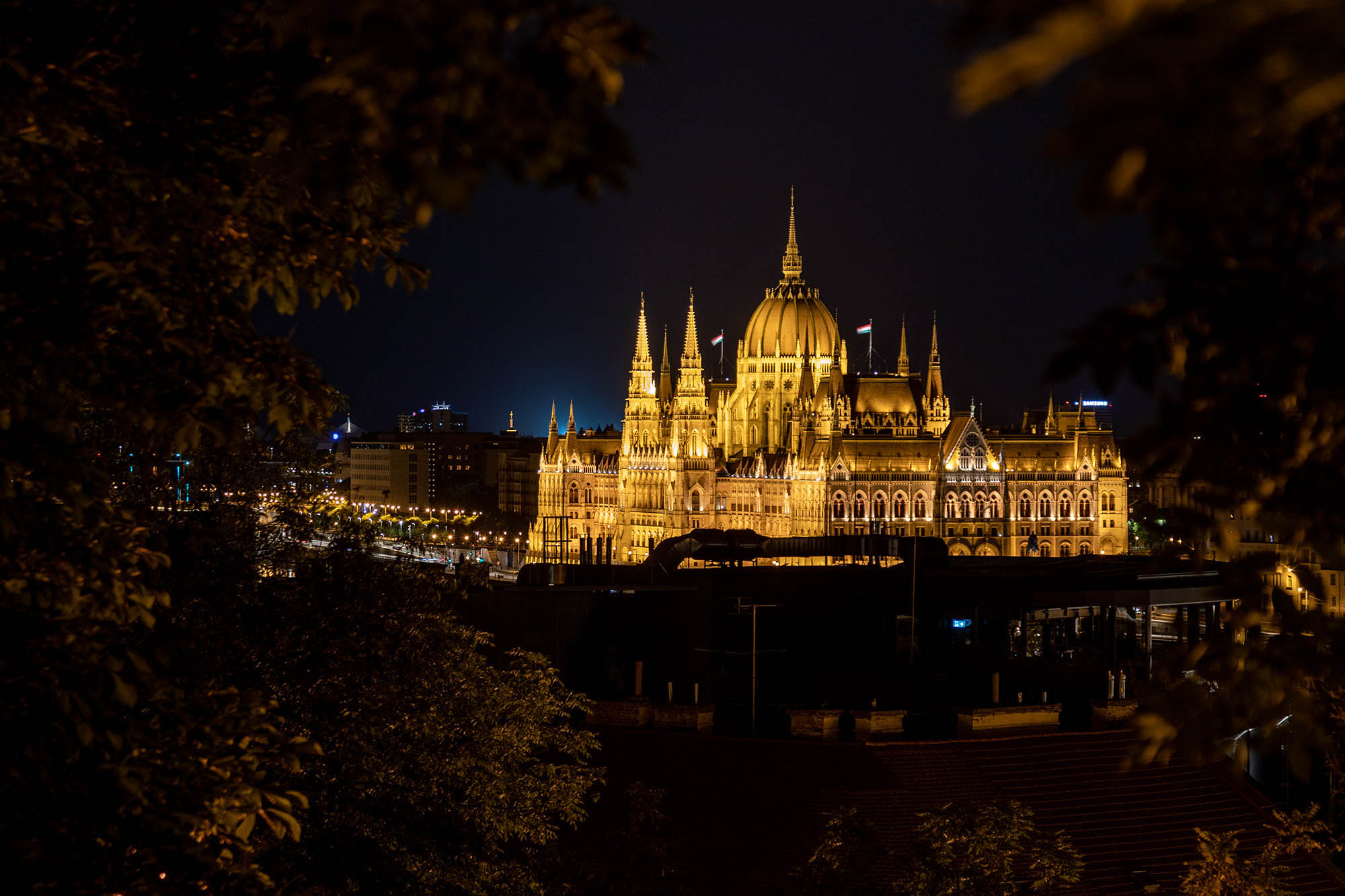 Belle Bernadett fotográfus fotográfus vizsgaremek 