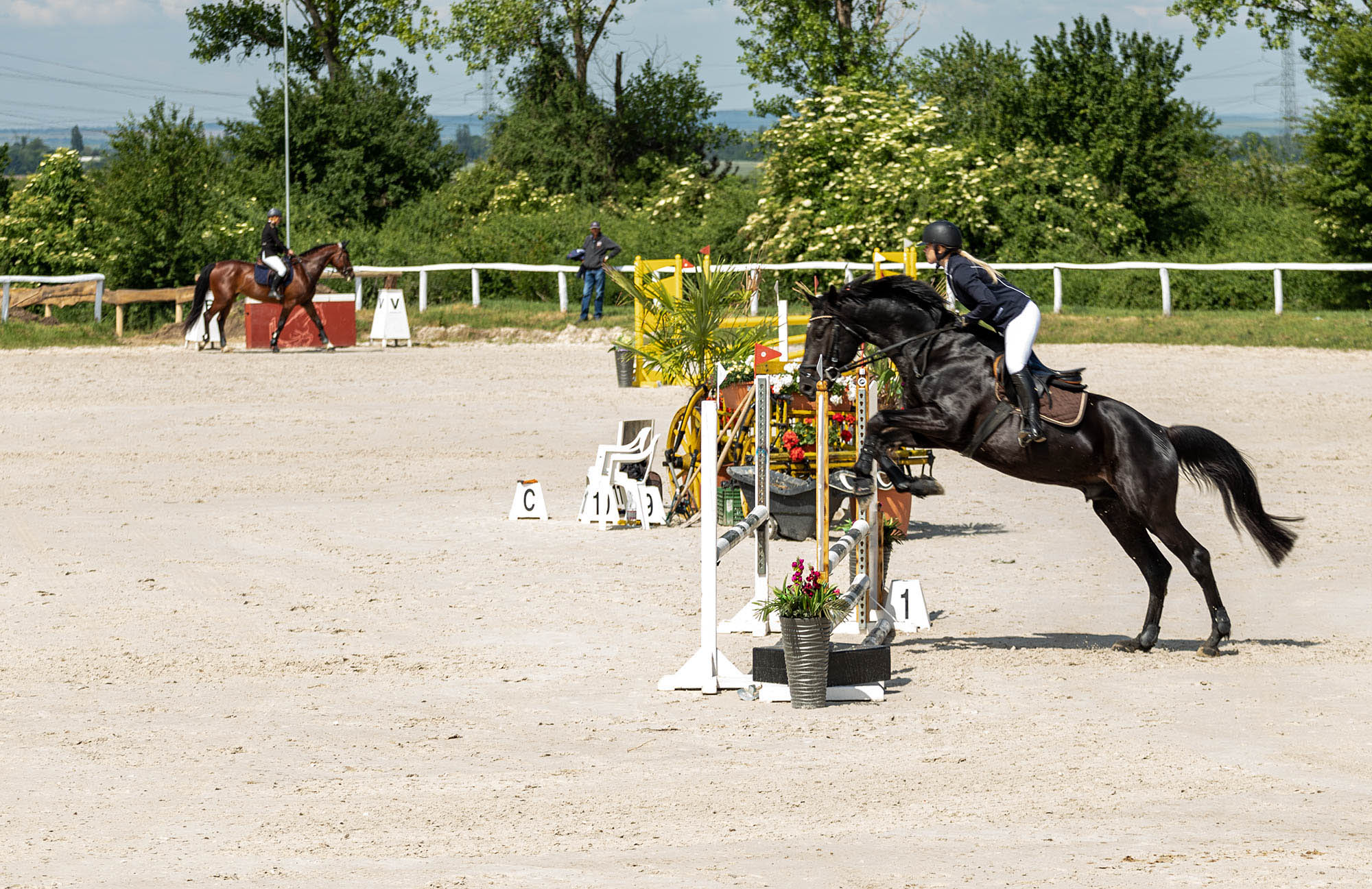 Belle Bernadett fotográfus fotográfus vizsgaremek 