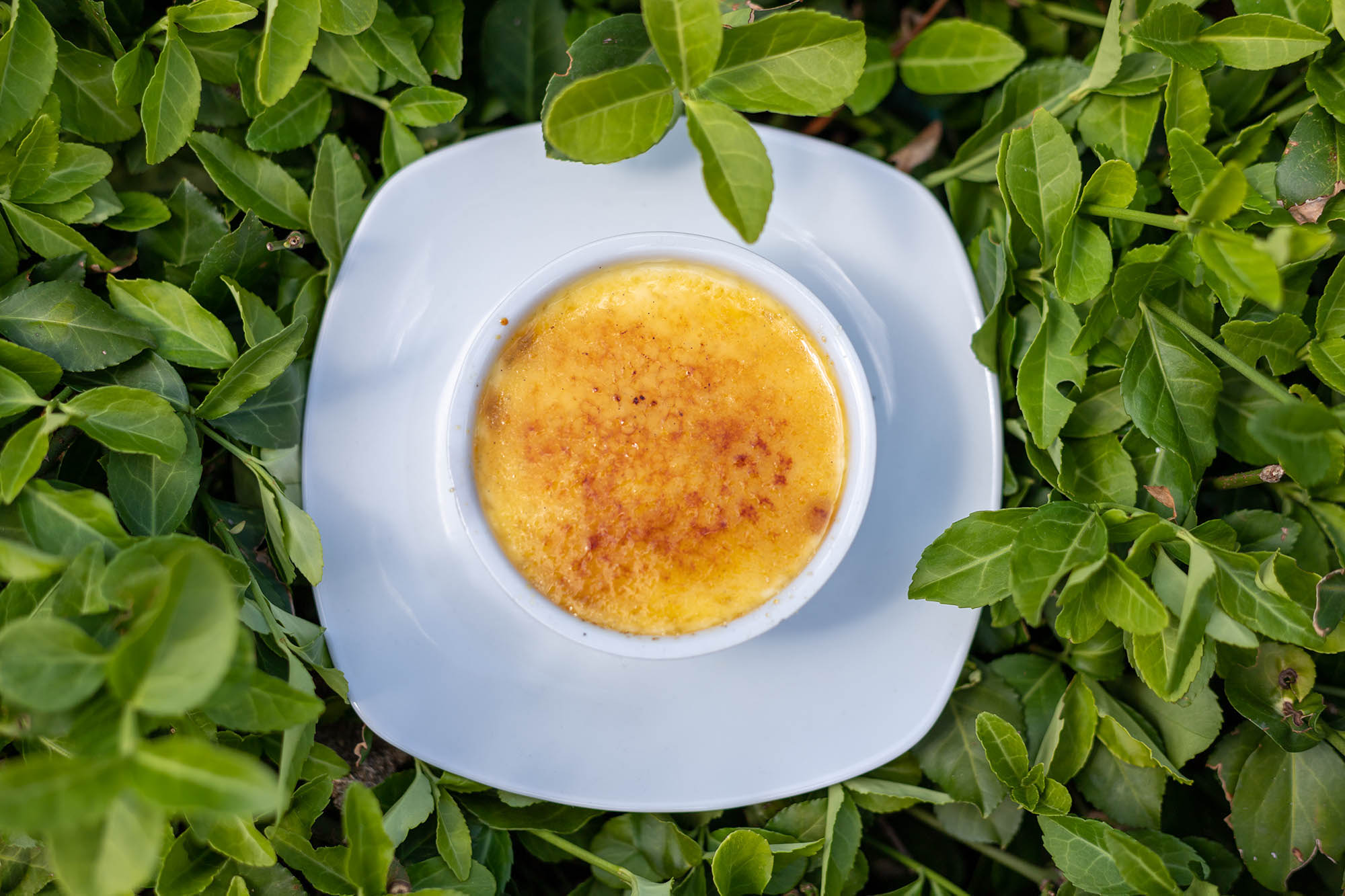 Belle Bernadett fotográfus fotográfus vizsgaremek 