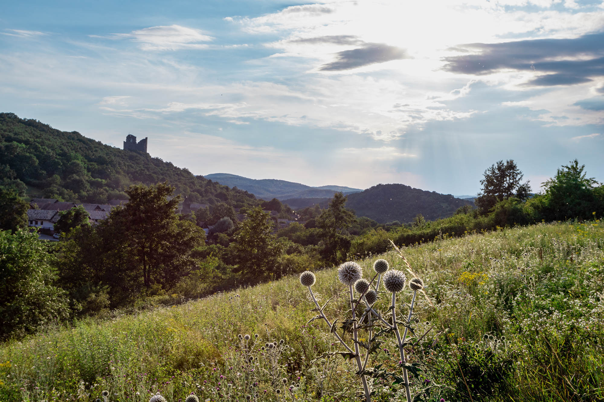 Belle Bernadett fotográfus fotográfus vizsgaremek 