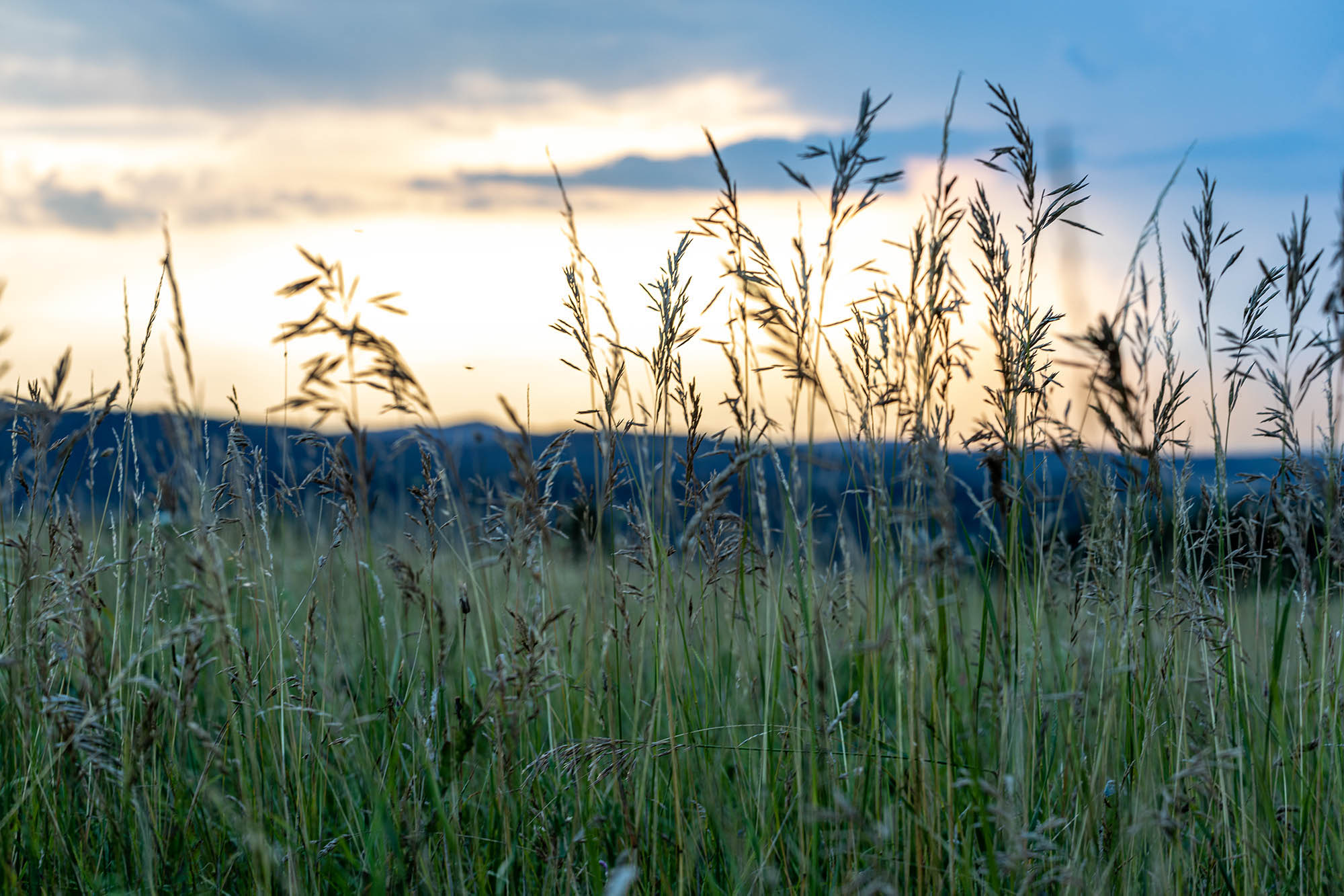 Belle Bernadett fotográfus fotográfus vizsgaremek 