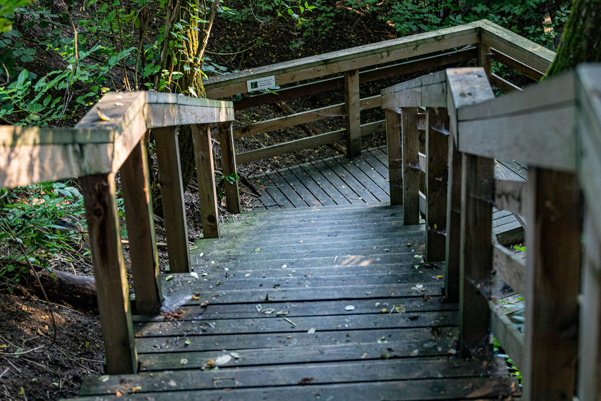 Belle Bernadett fotográfus fotográfus vizsgaremek 