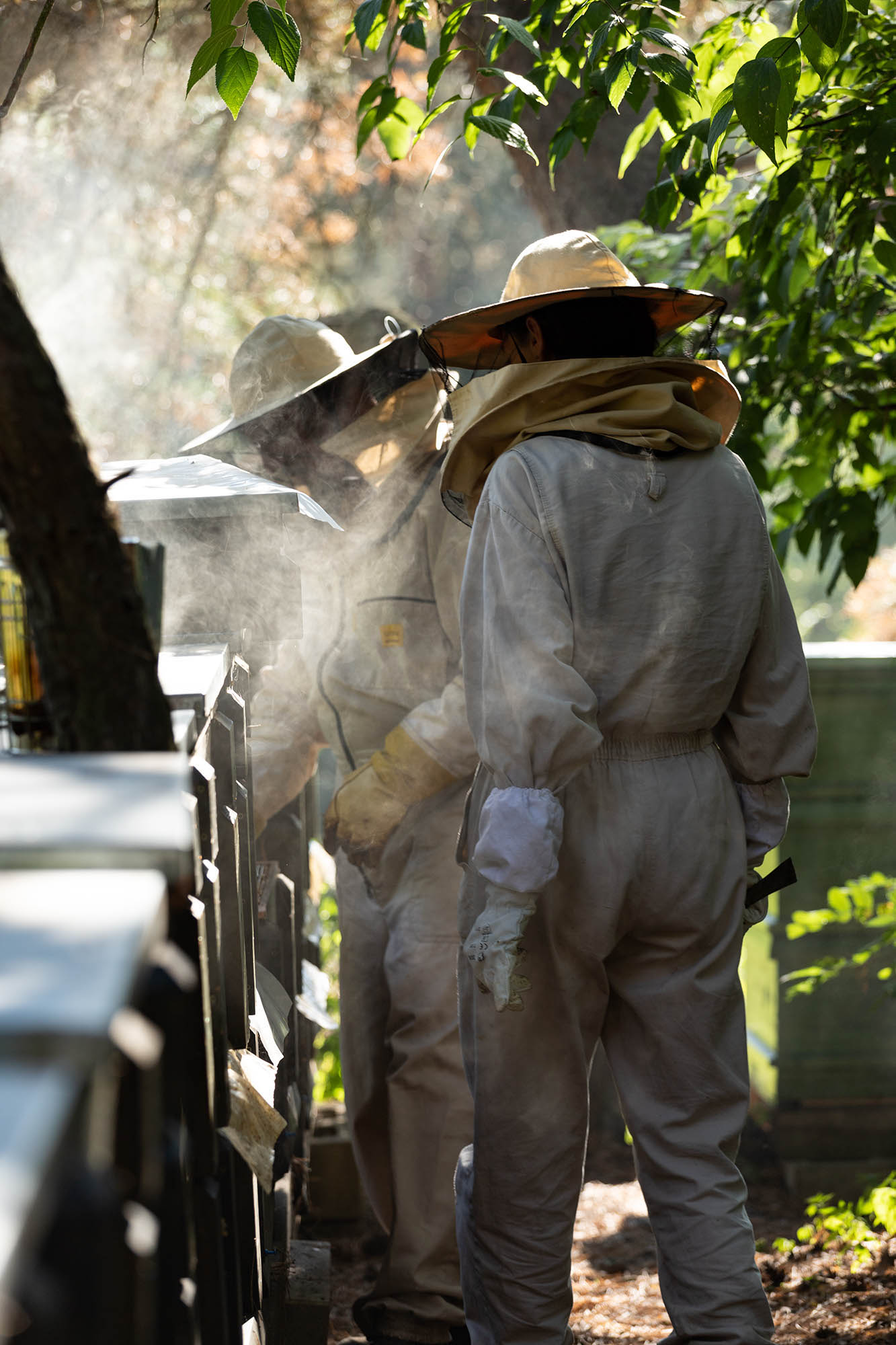 Belle Bernadett fotográfus fotográfus vizsgaremek 