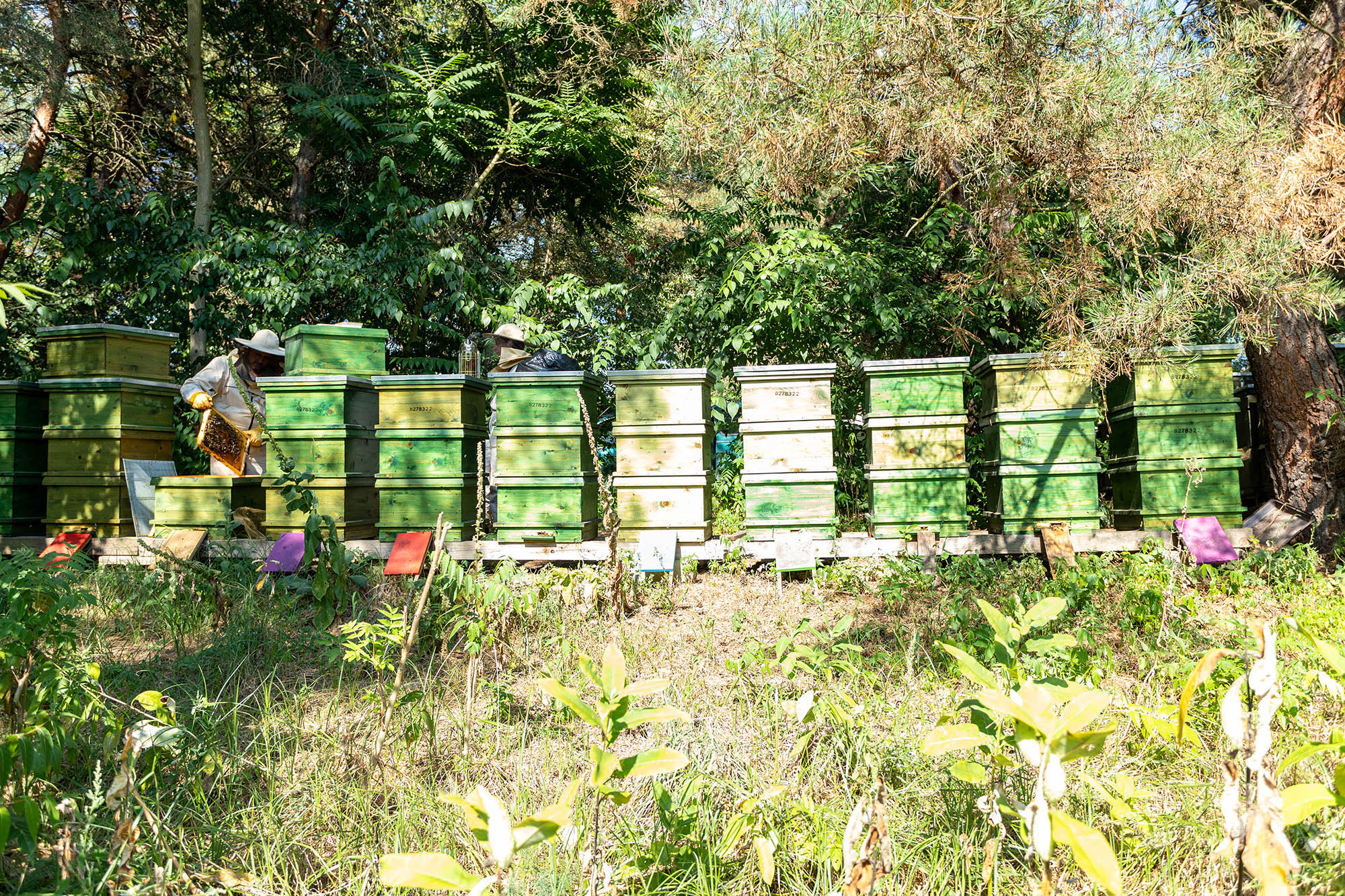 Belle Bernadett fotográfus fotográfus vizsgaremek 