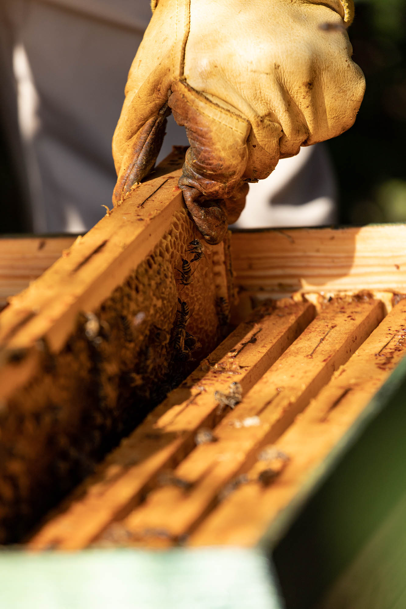 Belle Bernadett fotográfus fotográfus vizsgaremek 