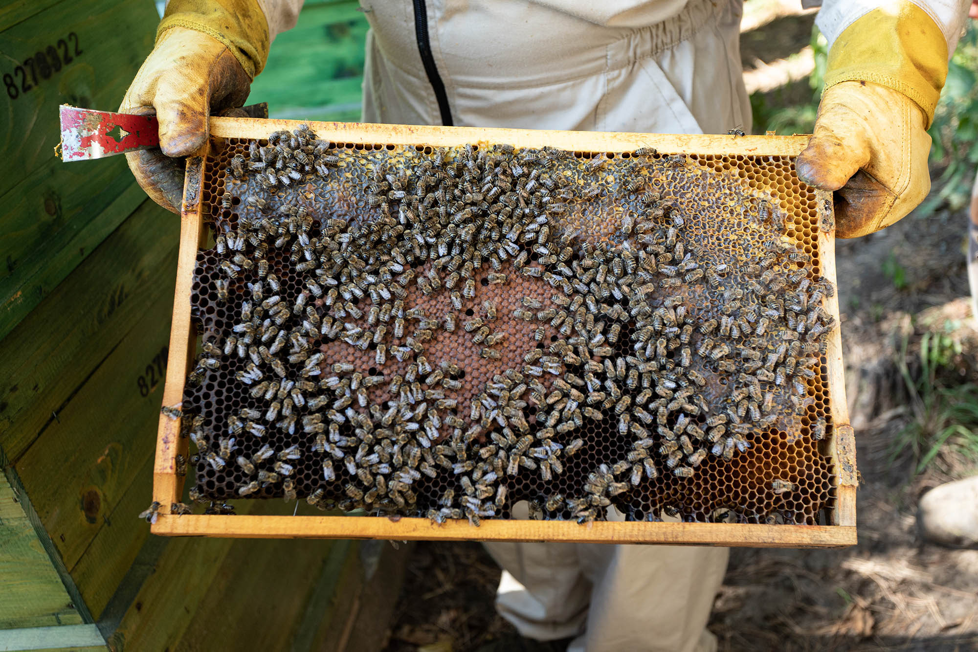 Belle Bernadett fotográfus fotográfus vizsgaremek 