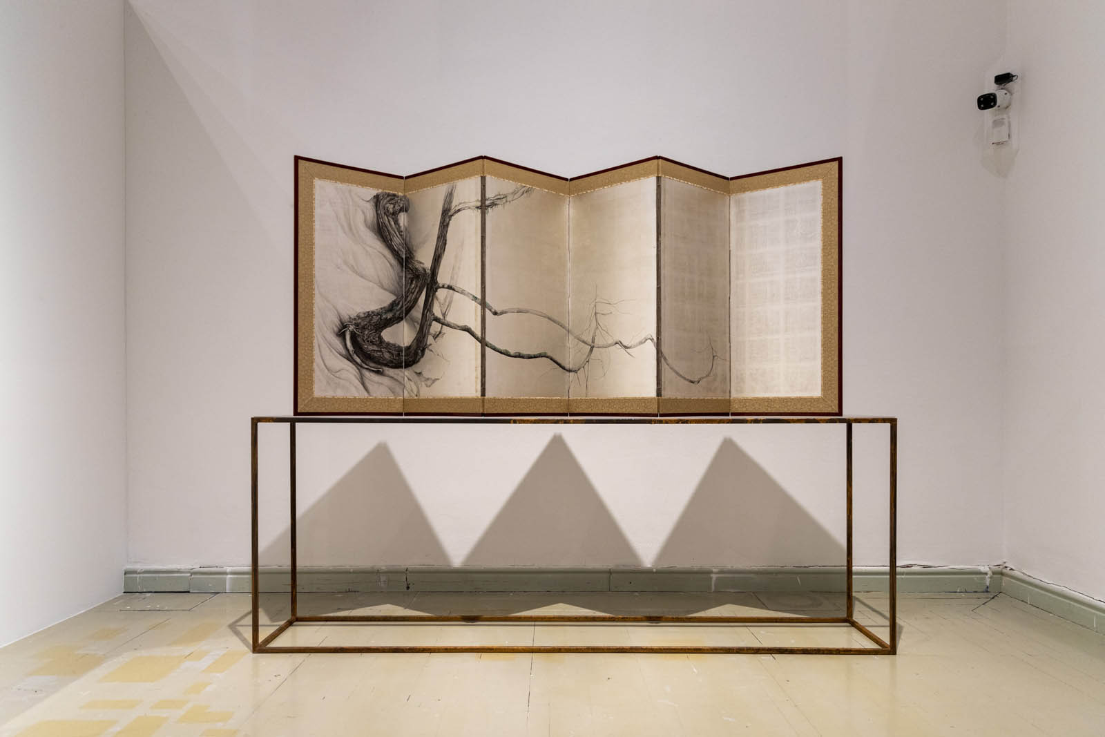 Bóta Éva fotográfus fotográfus vizsgaremek 