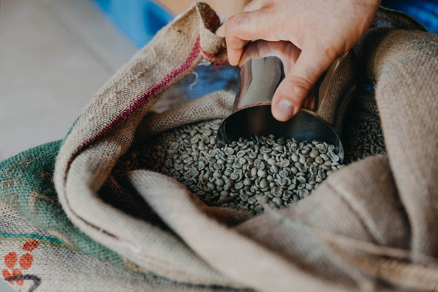 Bóta Éva fotográfus fotográfus vizsgaremek 