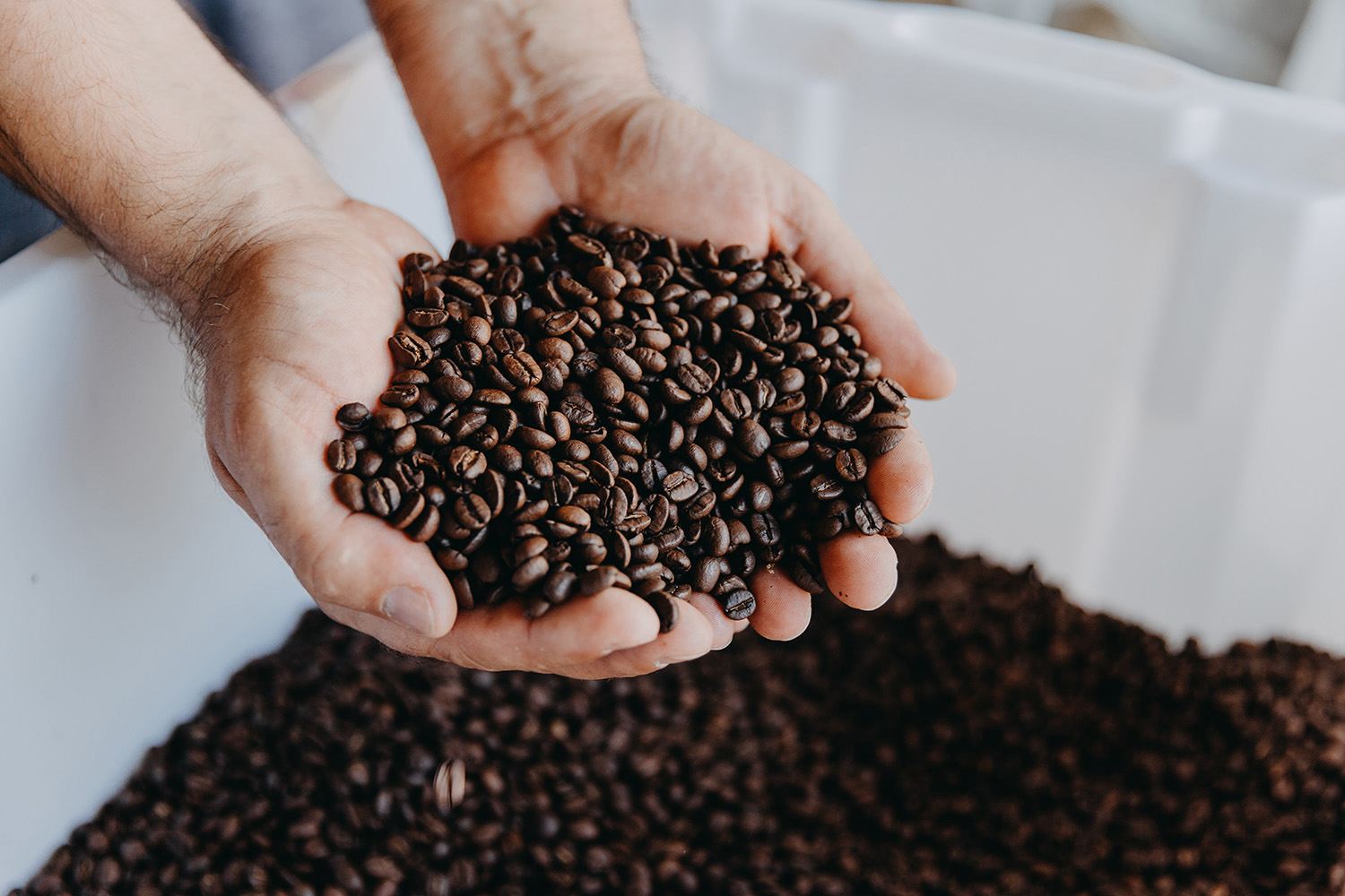 Bóta Éva fotográfus fotográfus vizsgaremek 