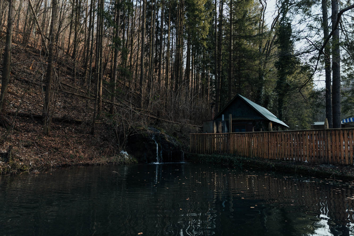 Bóta Éva fotográfus fotográfus vizsgaremek 