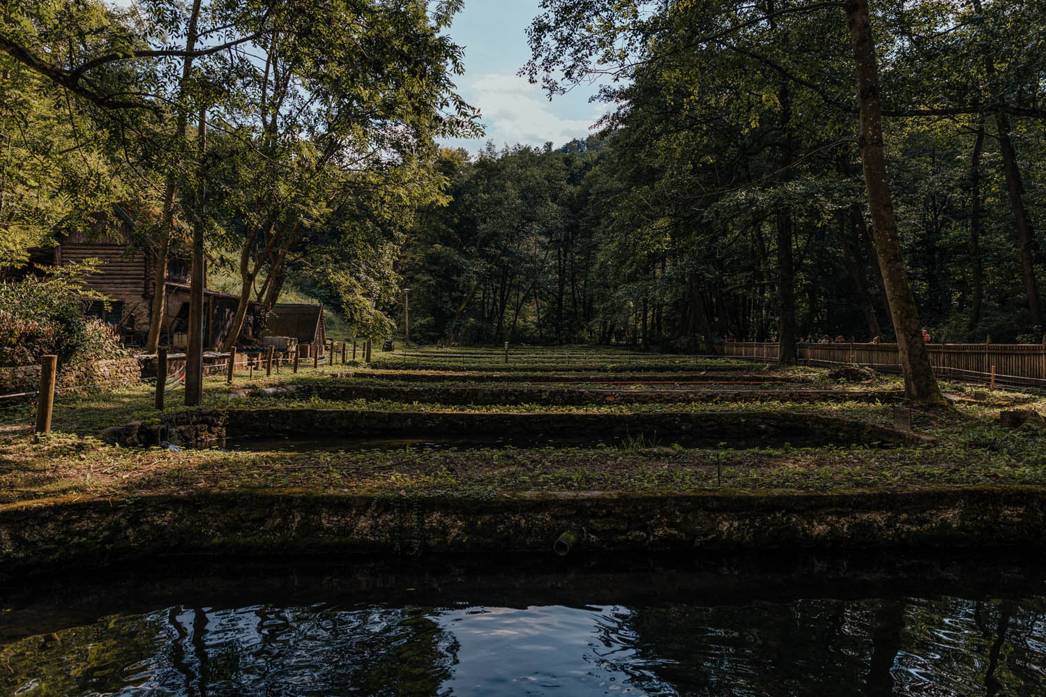 Bóta Éva fotográfus fotográfus vizsgaremek 
