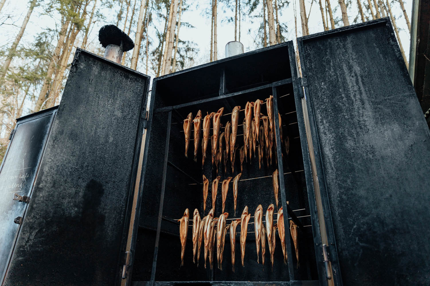 Bóta Éva fotográfus fotográfus vizsgaremek 