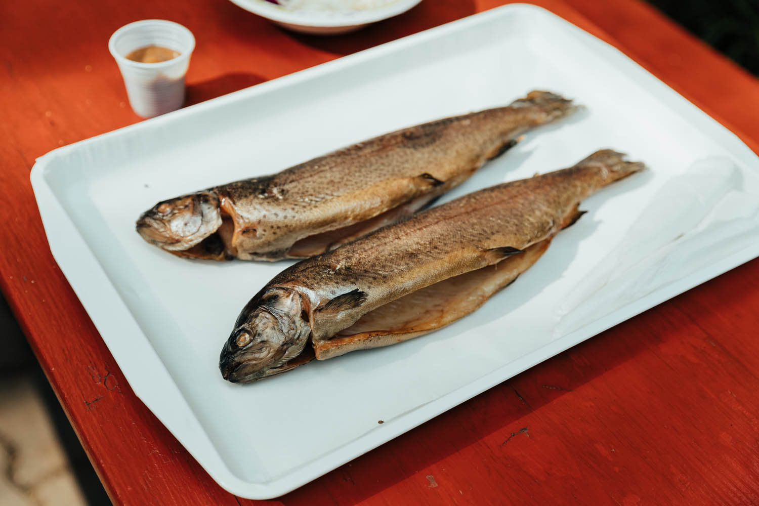 Bóta Éva fotográfus fotográfus vizsgaremek 