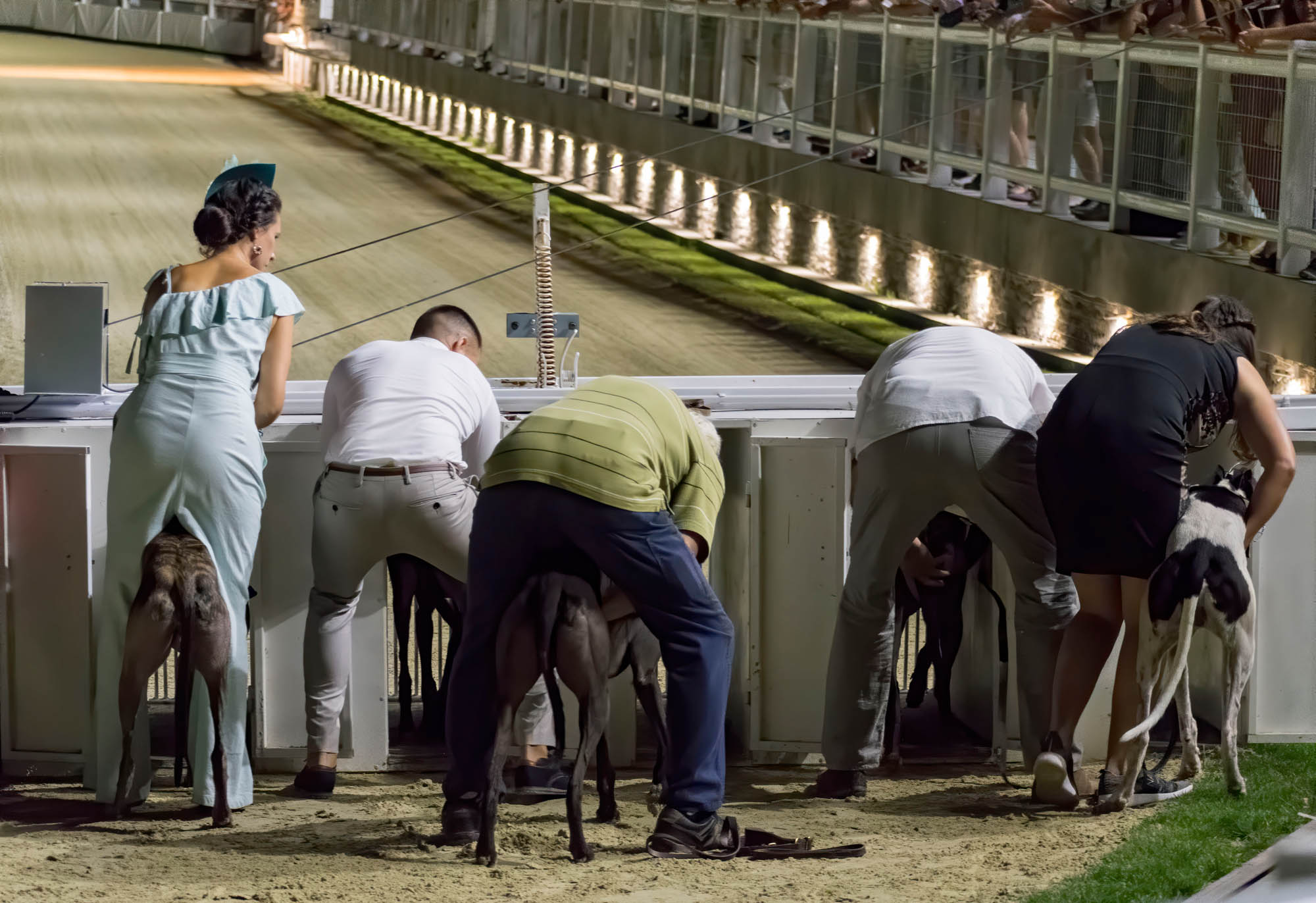 Deli Péter fotográfus fotográfus vizsgaremek 