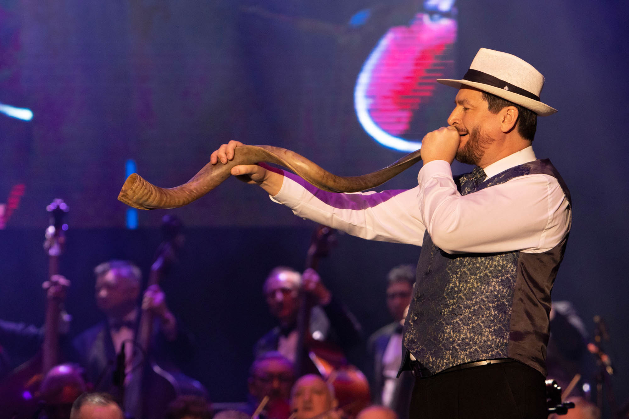 Dienes Vivien fotográfus fotográfus vizsgaremek 