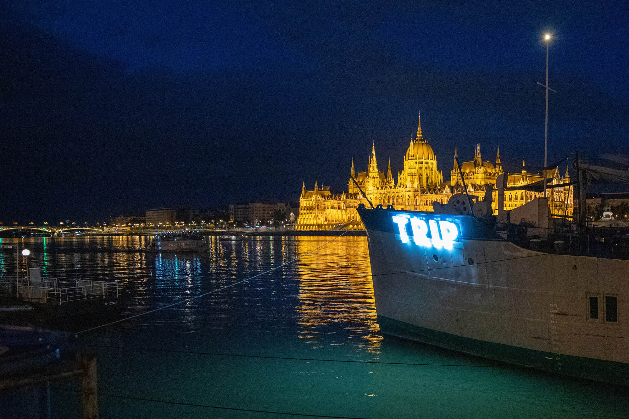 Dienes Vivien fotográfus fotográfus vizsgaremek 