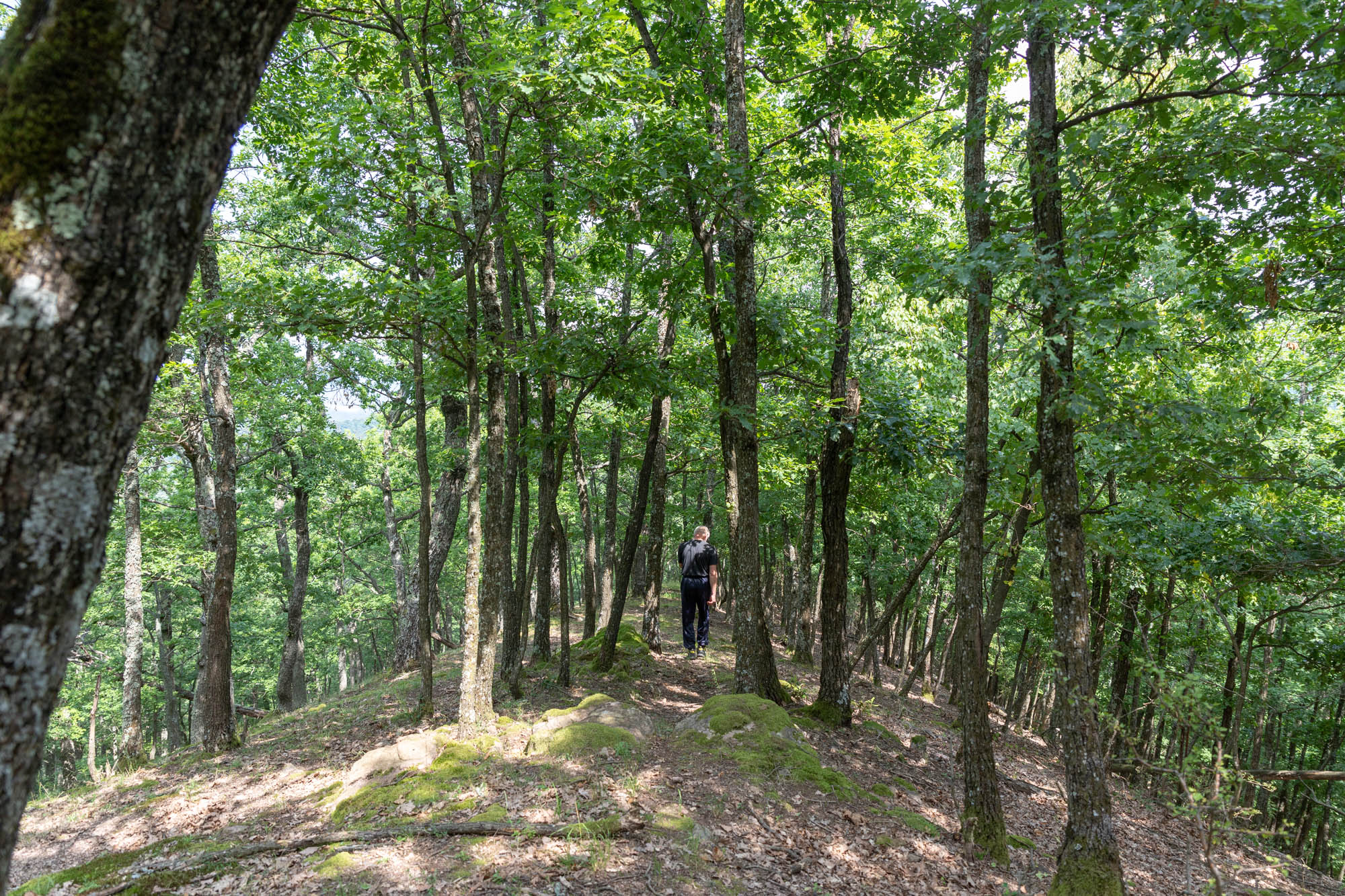 Dienes Vivien fotográfus fotográfus vizsgaremek 