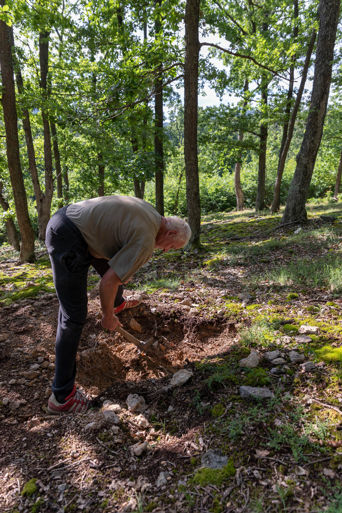 Dienes Vivien fotográfus fotográfus vizsgaremek 