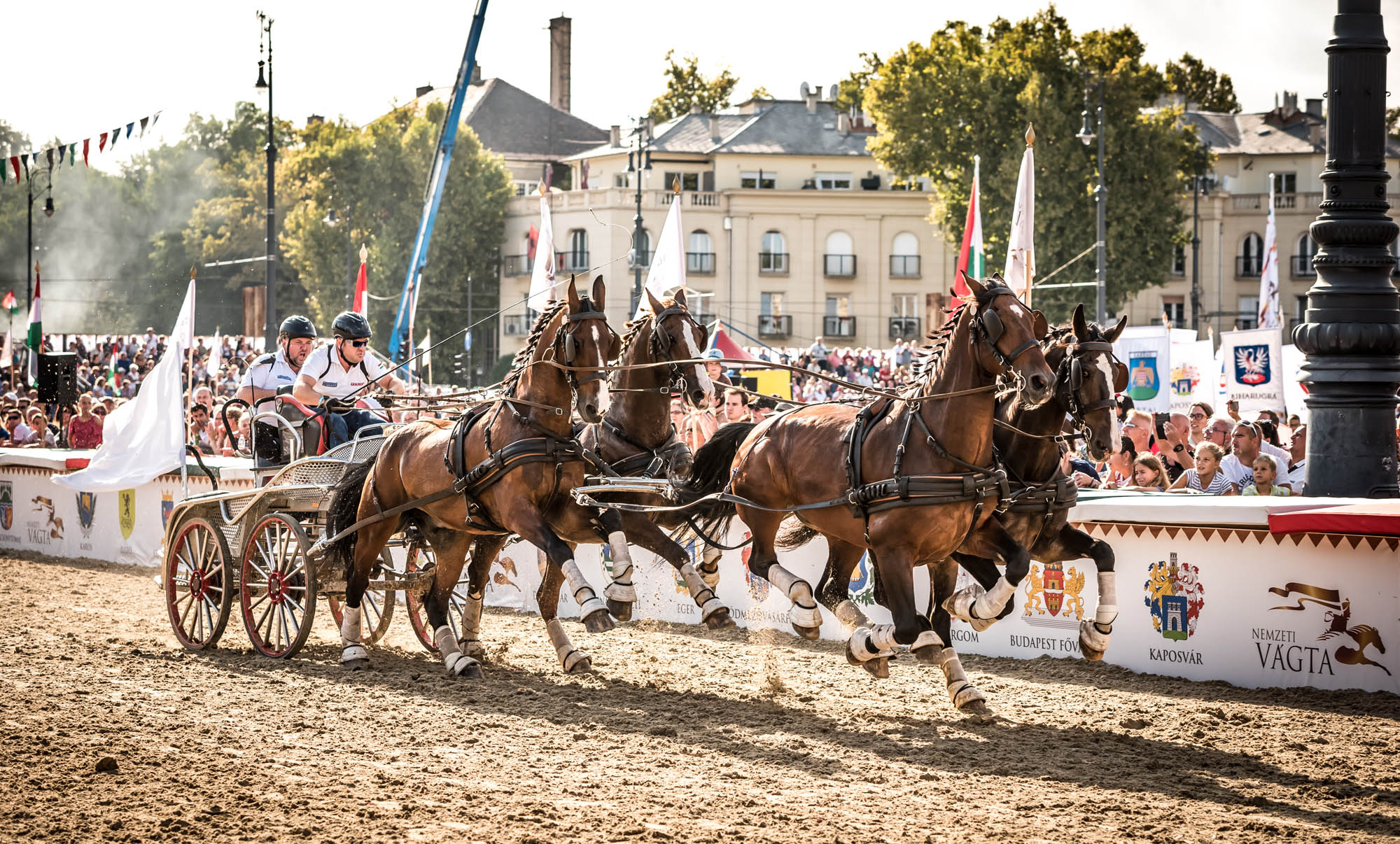 Kőhalmi Kálmán fotográfus fotográfus vizsgaremek 