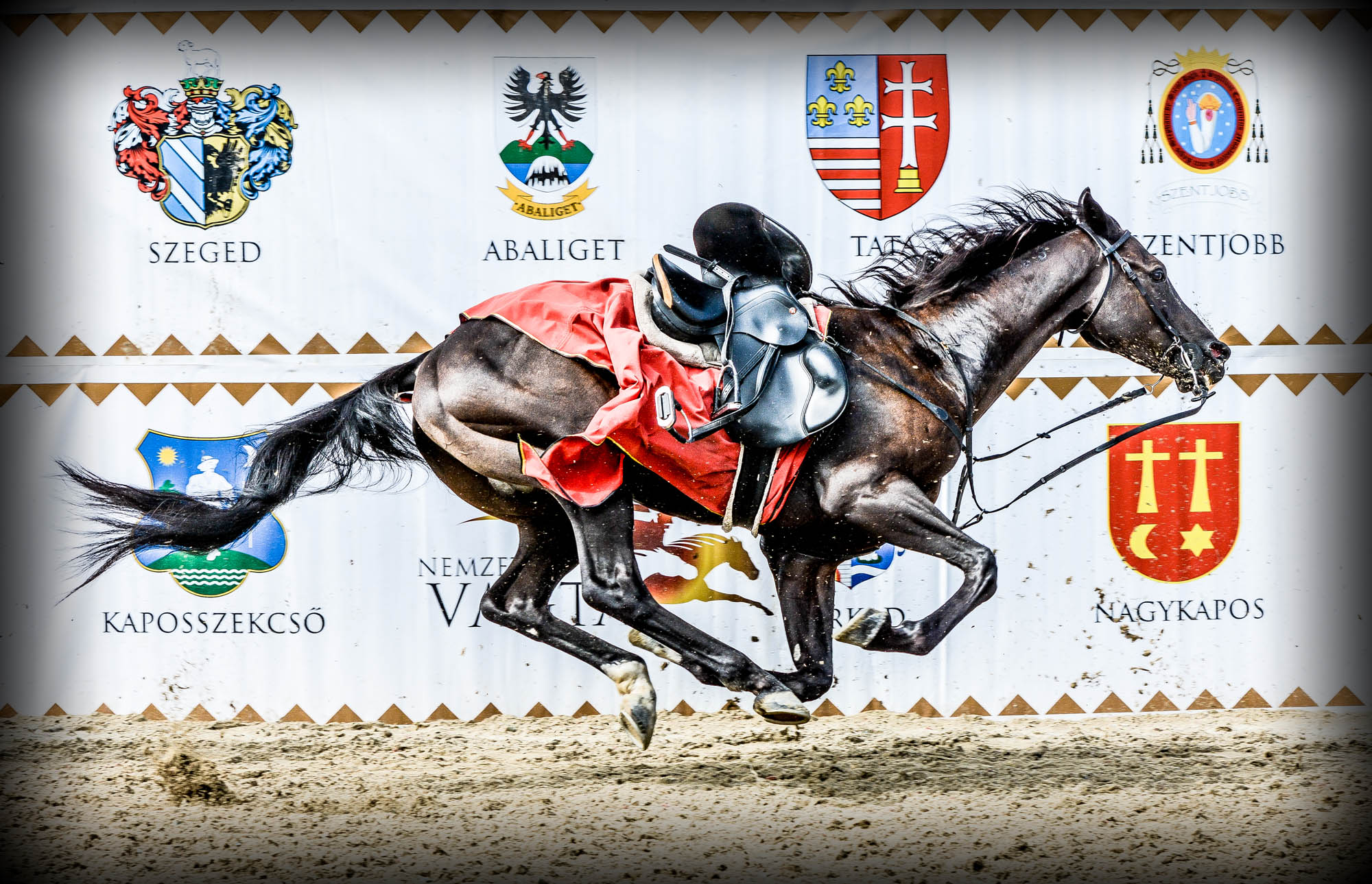 Kőhalmi Kálmán fotográfus fotográfus vizsgaremek 