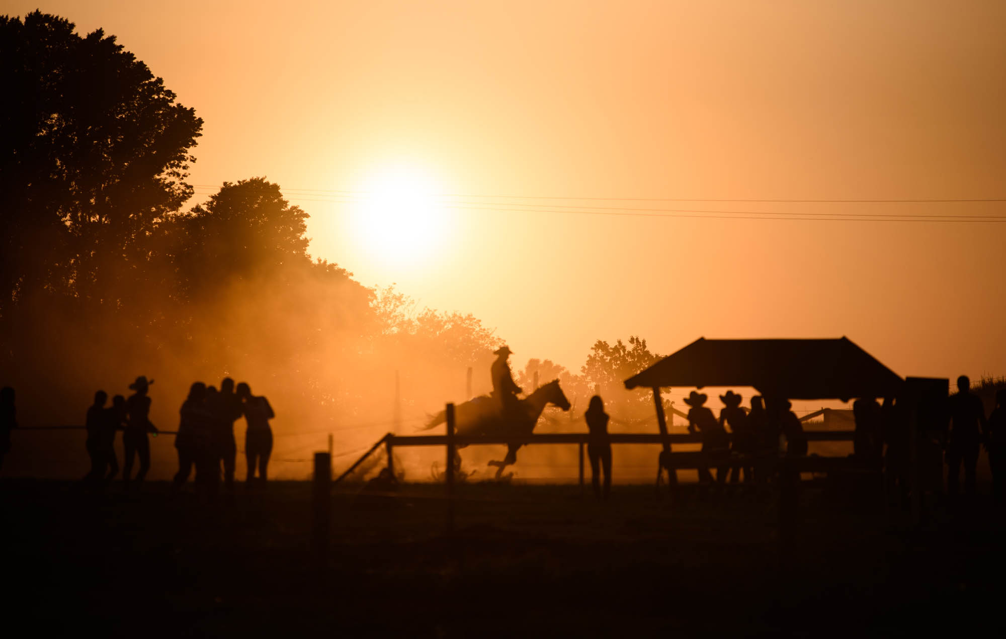 Kőhalmi Kálmán fotográfus fotográfus vizsgaremek 